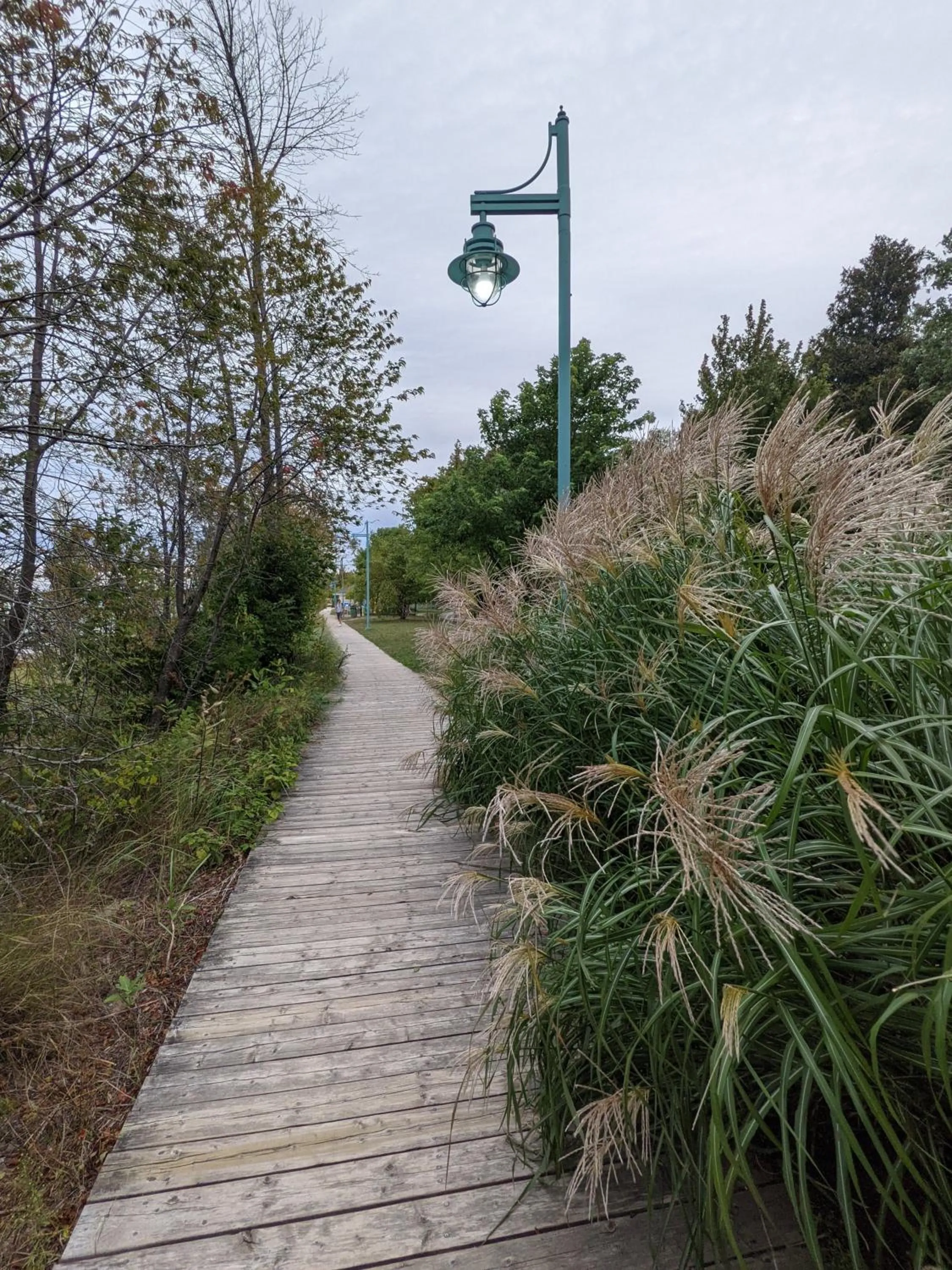Natural landscape in Inn at the Harbour