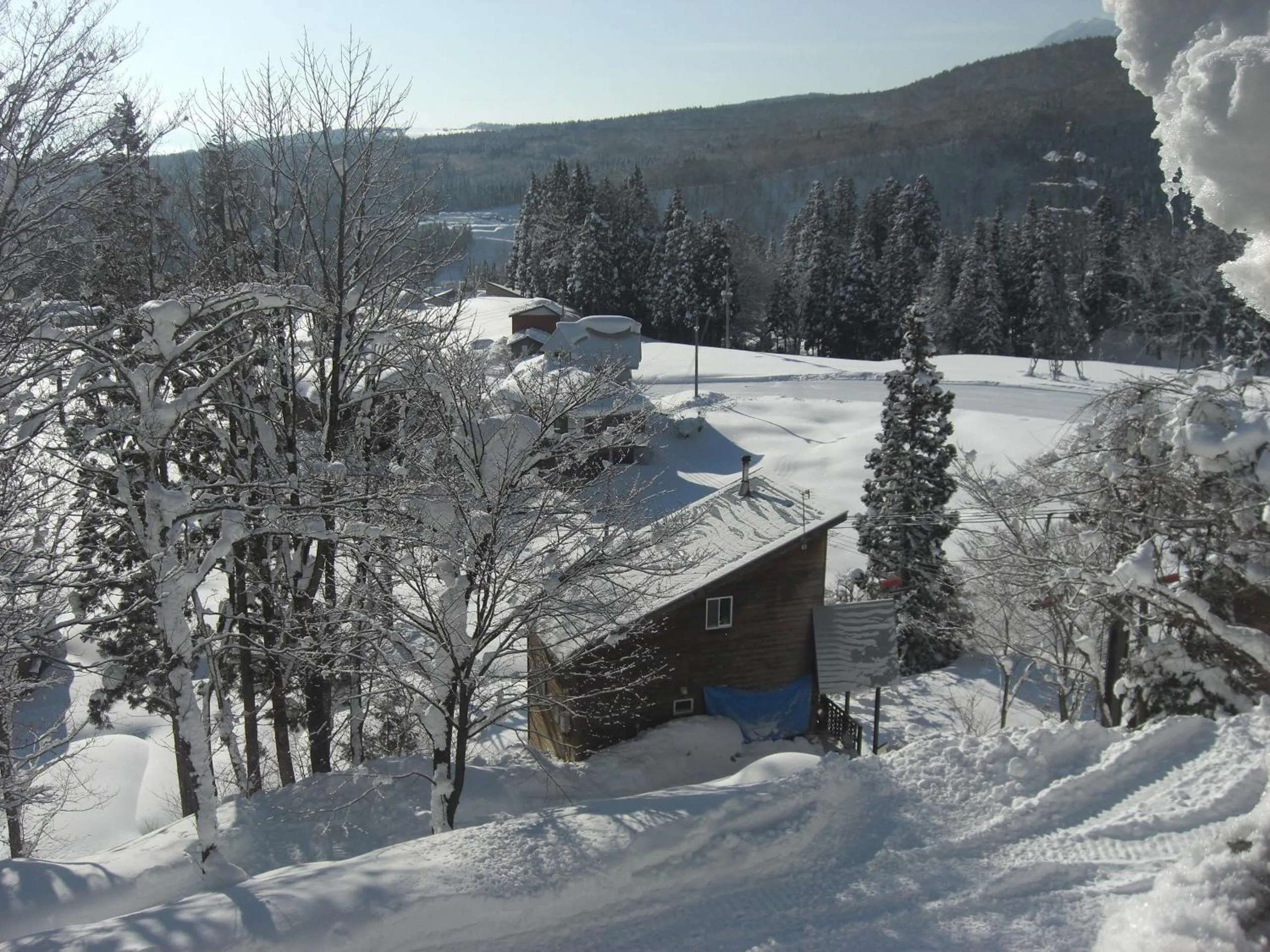Winter in Soratobu Usagi