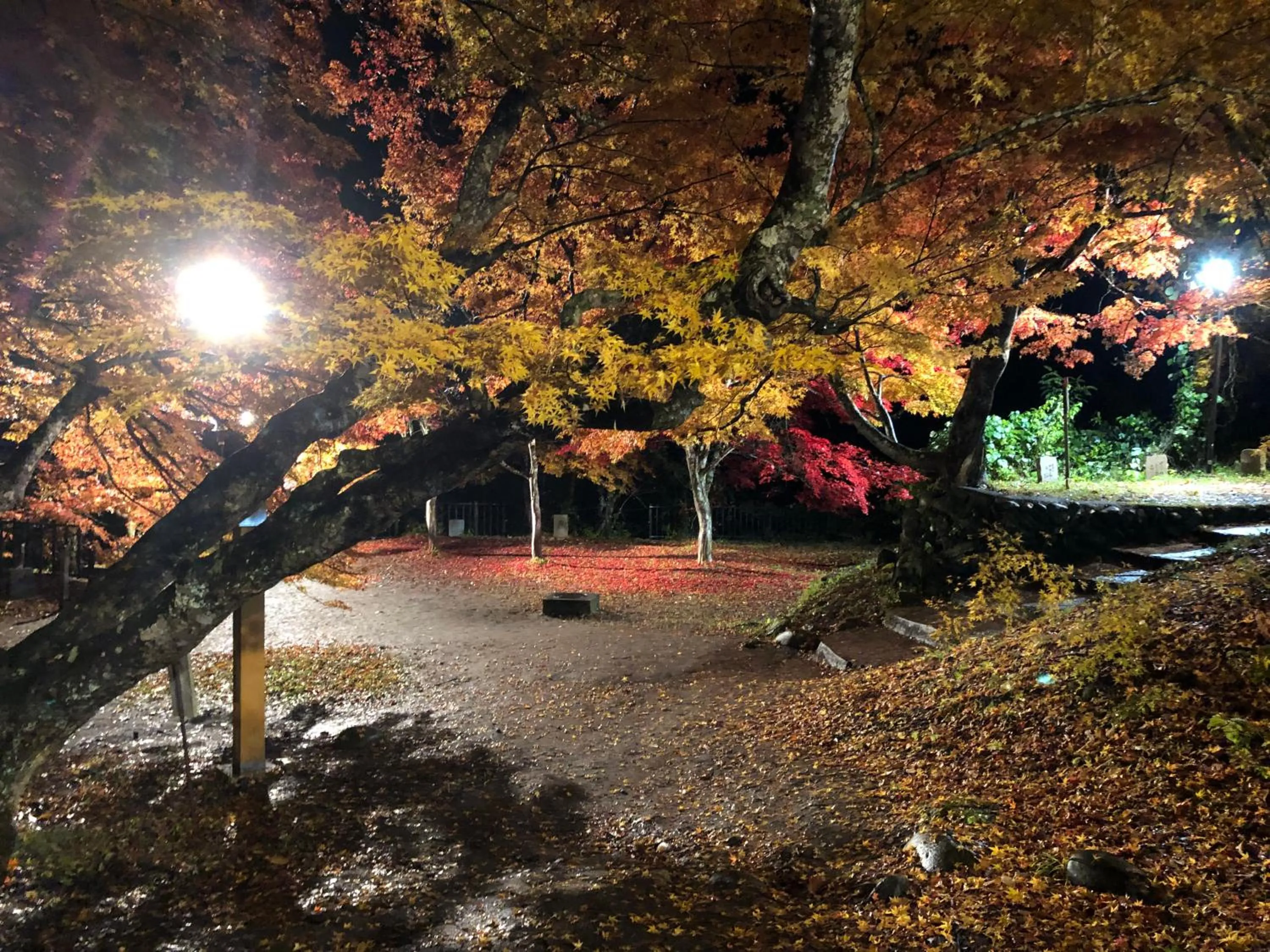 Nearby landmark in Tabinoyado Saikawa