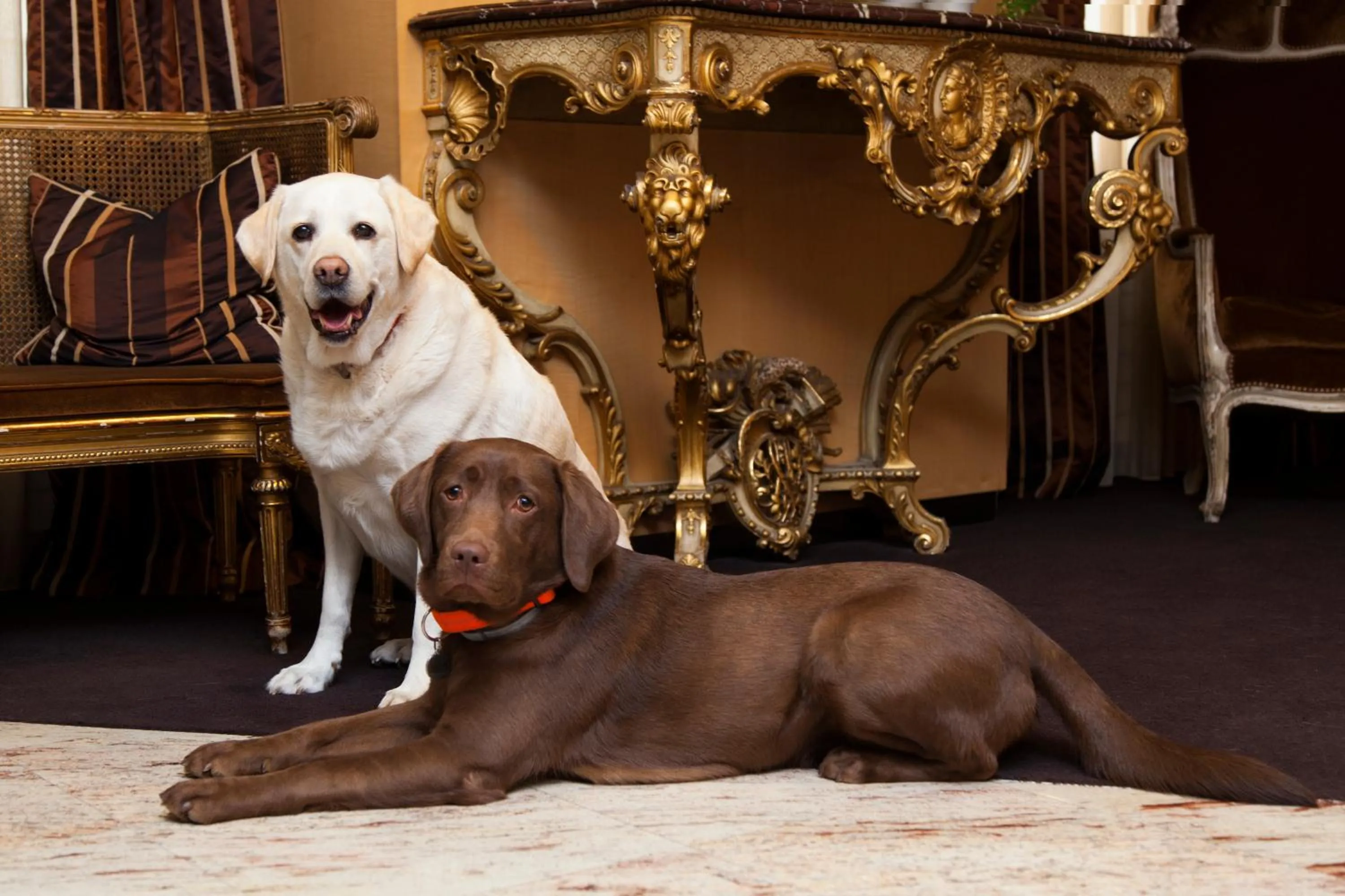 Lobby or reception in Best Western Plus Monopole Métropole