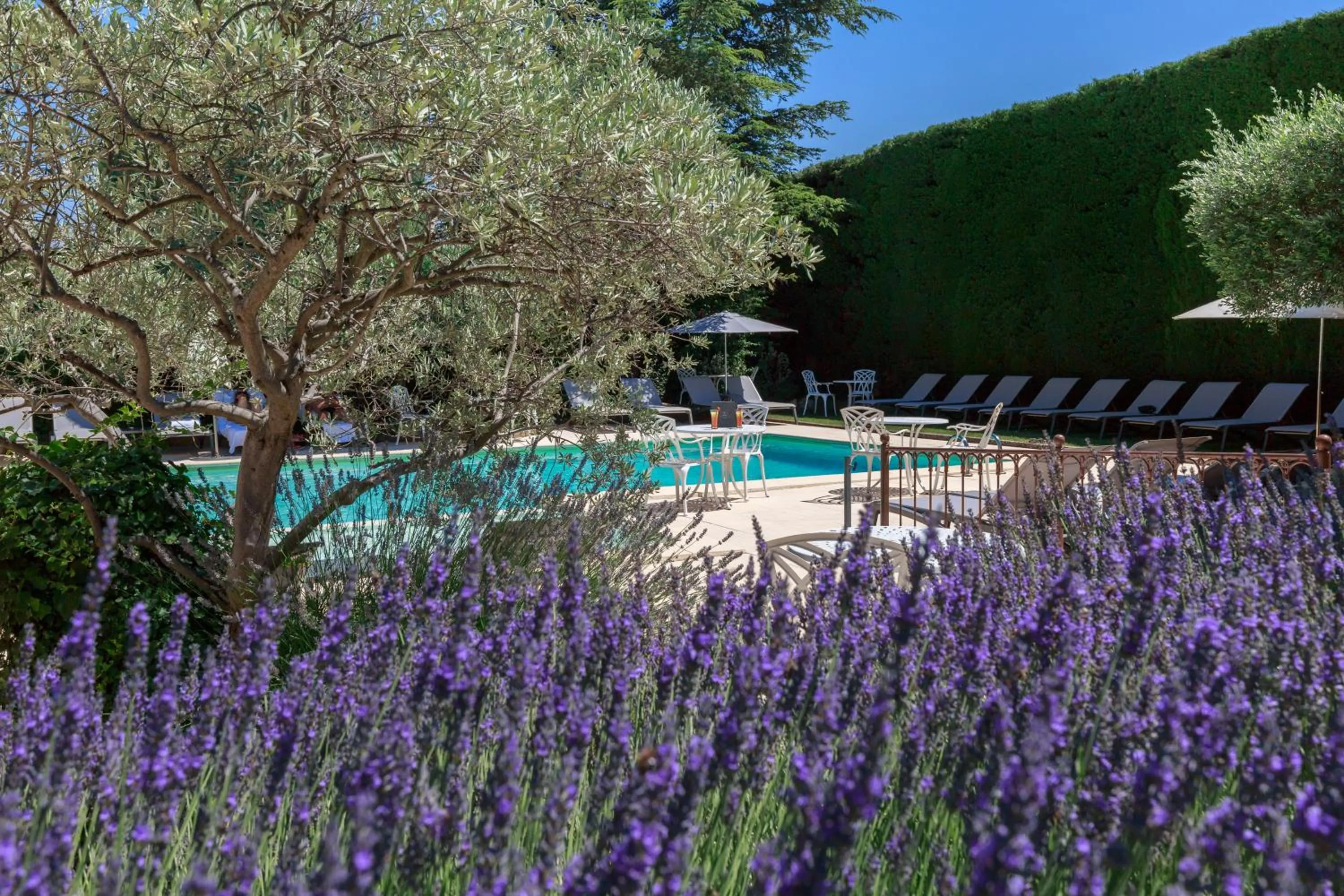 Swimming pool in Auberge de Cassagne & Spa