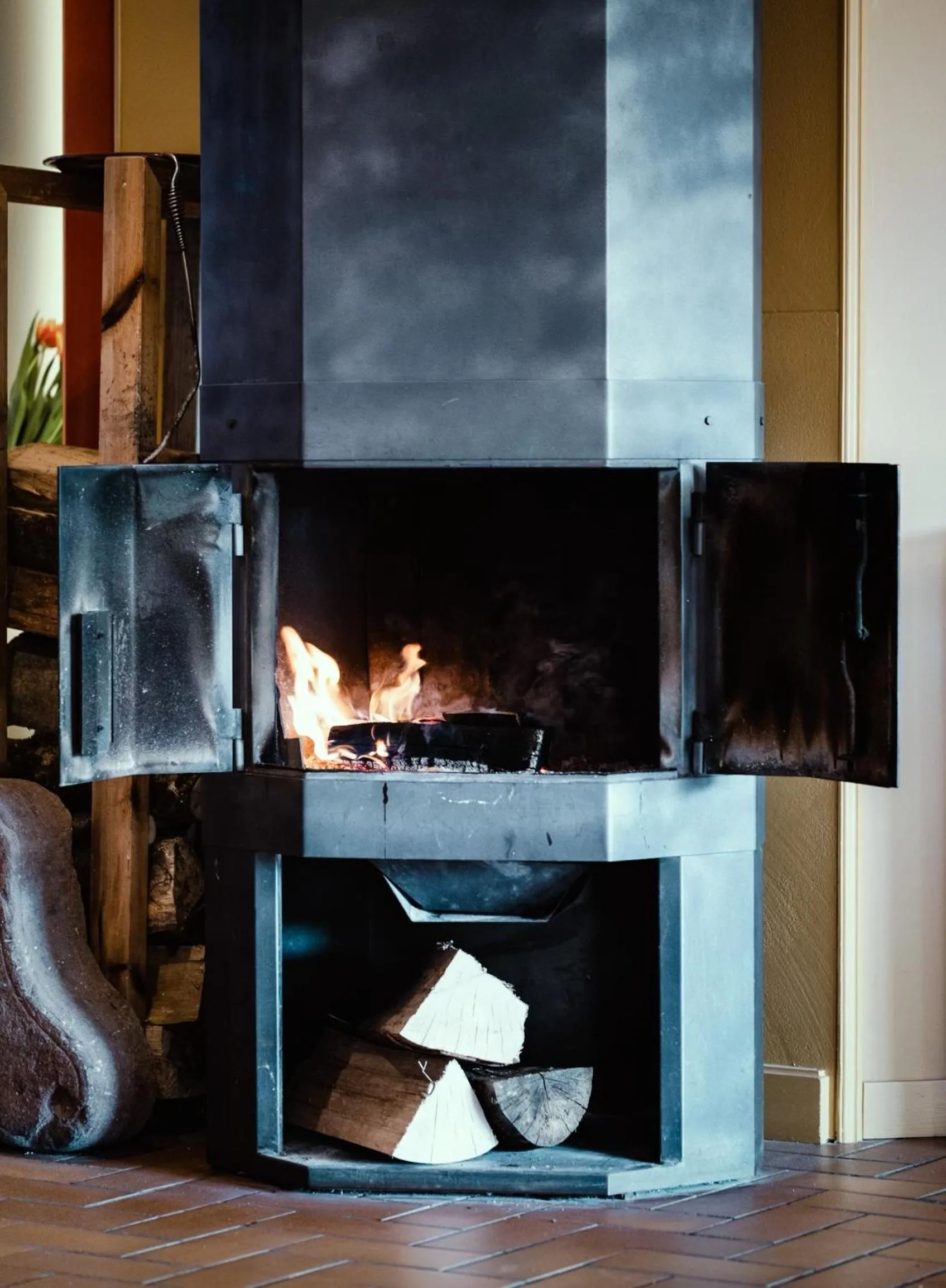 flat iron in La Clairière bio & spahotel