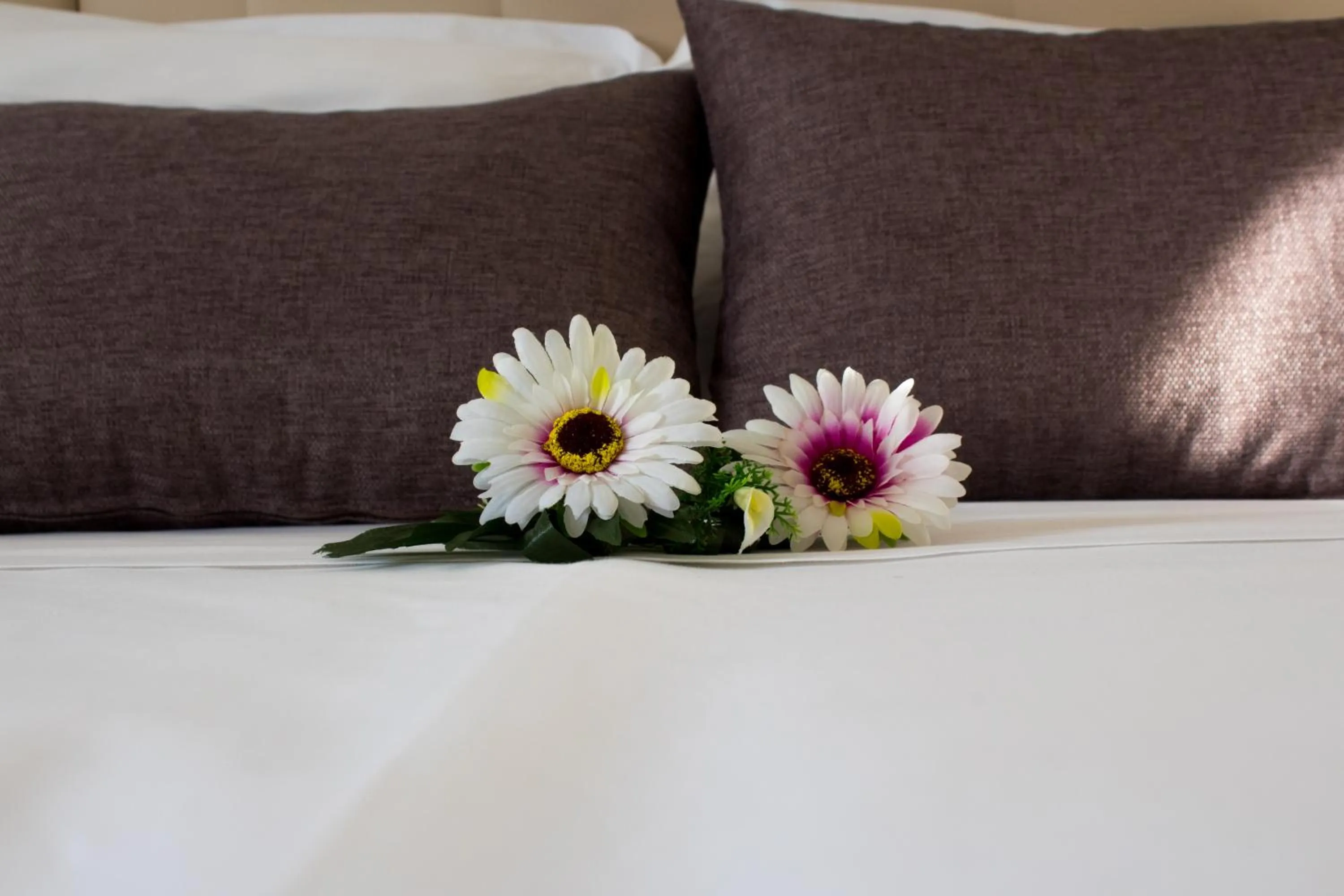 Bed in Coluni Sport & Resort srl