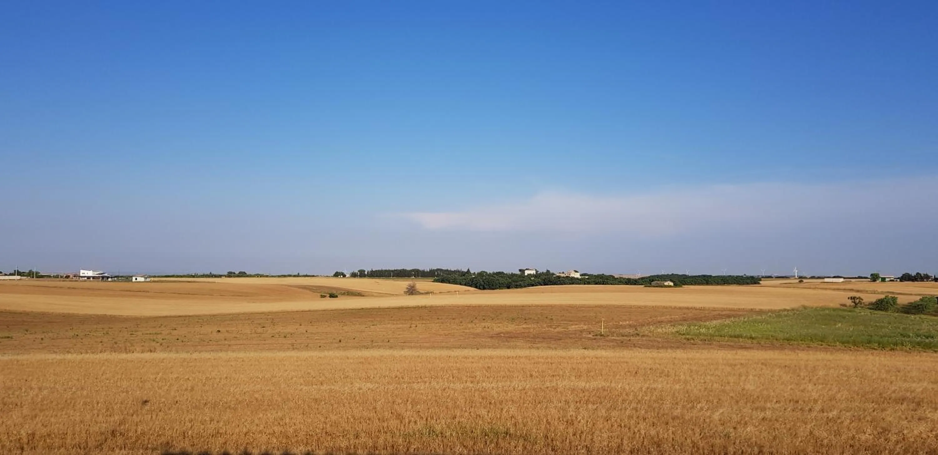 Coluni Sport & Resort srl