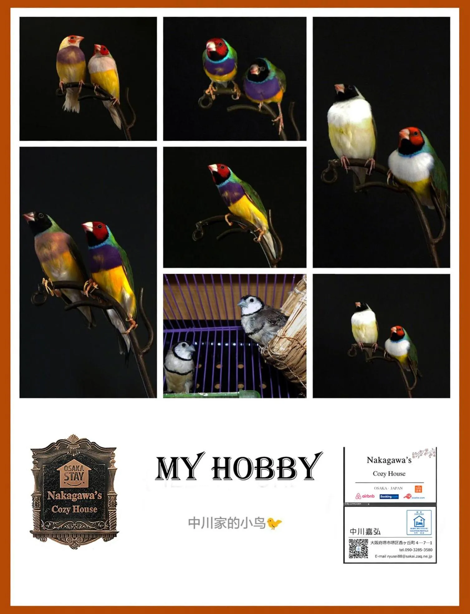 Animals in Nakagawa's Cozy House