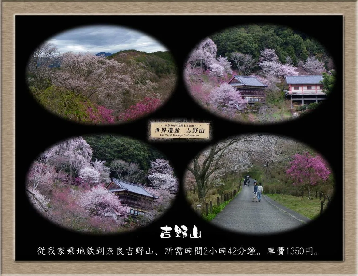 Natural landscape in Nakagawa's Cozy House
