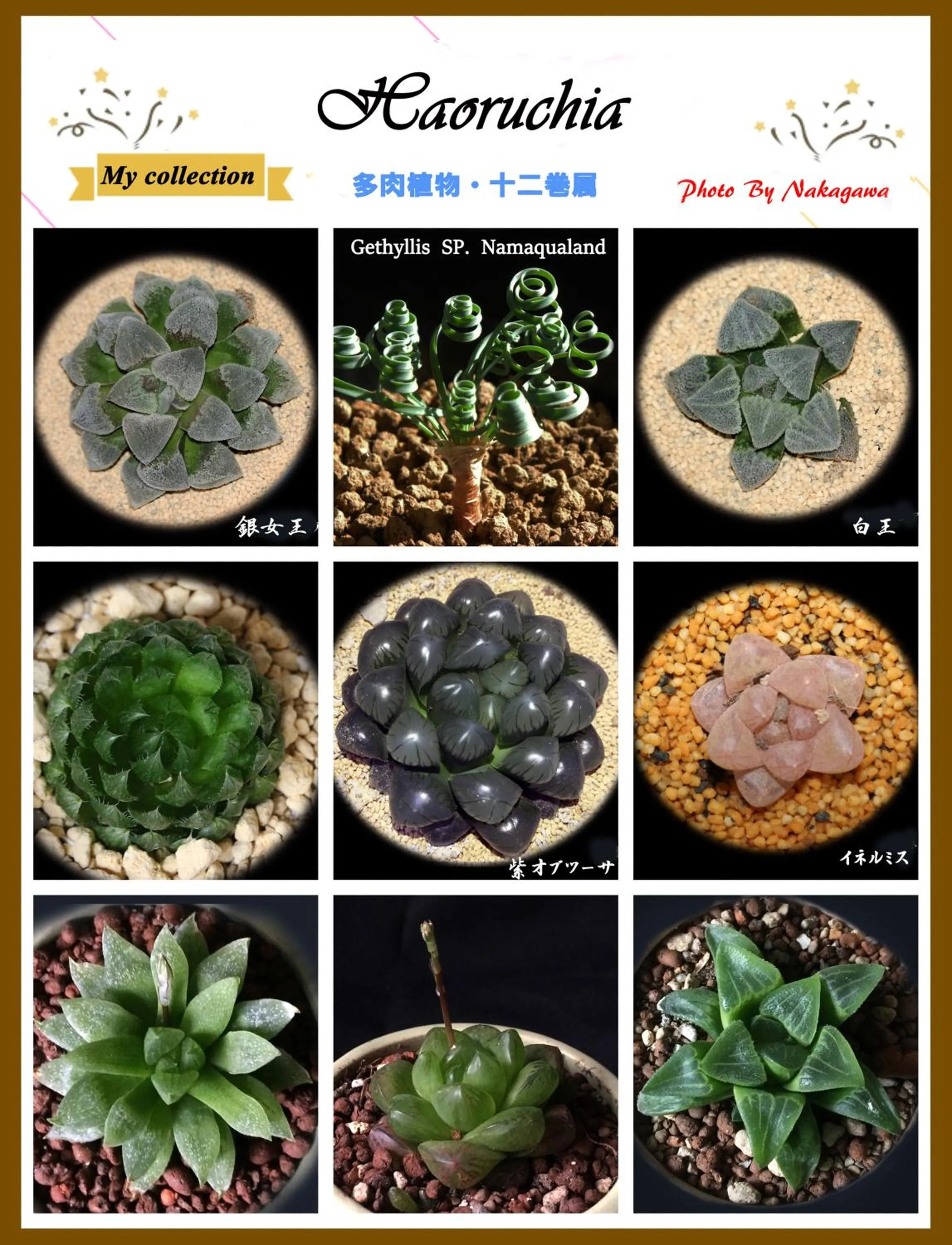 Family in Nakagawa's Cozy House