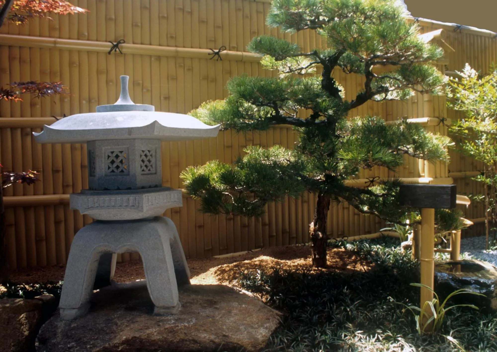 Garden in Nakagawa's Cozy House