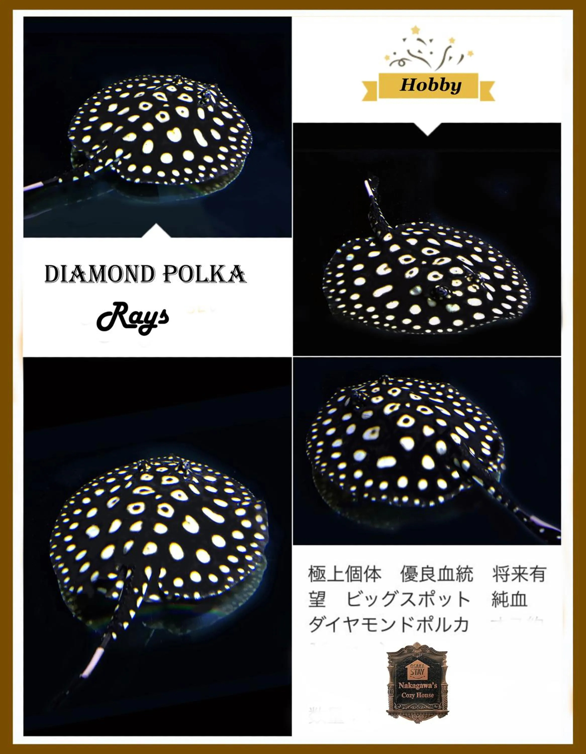 Family in Nakagawa's Cozy House