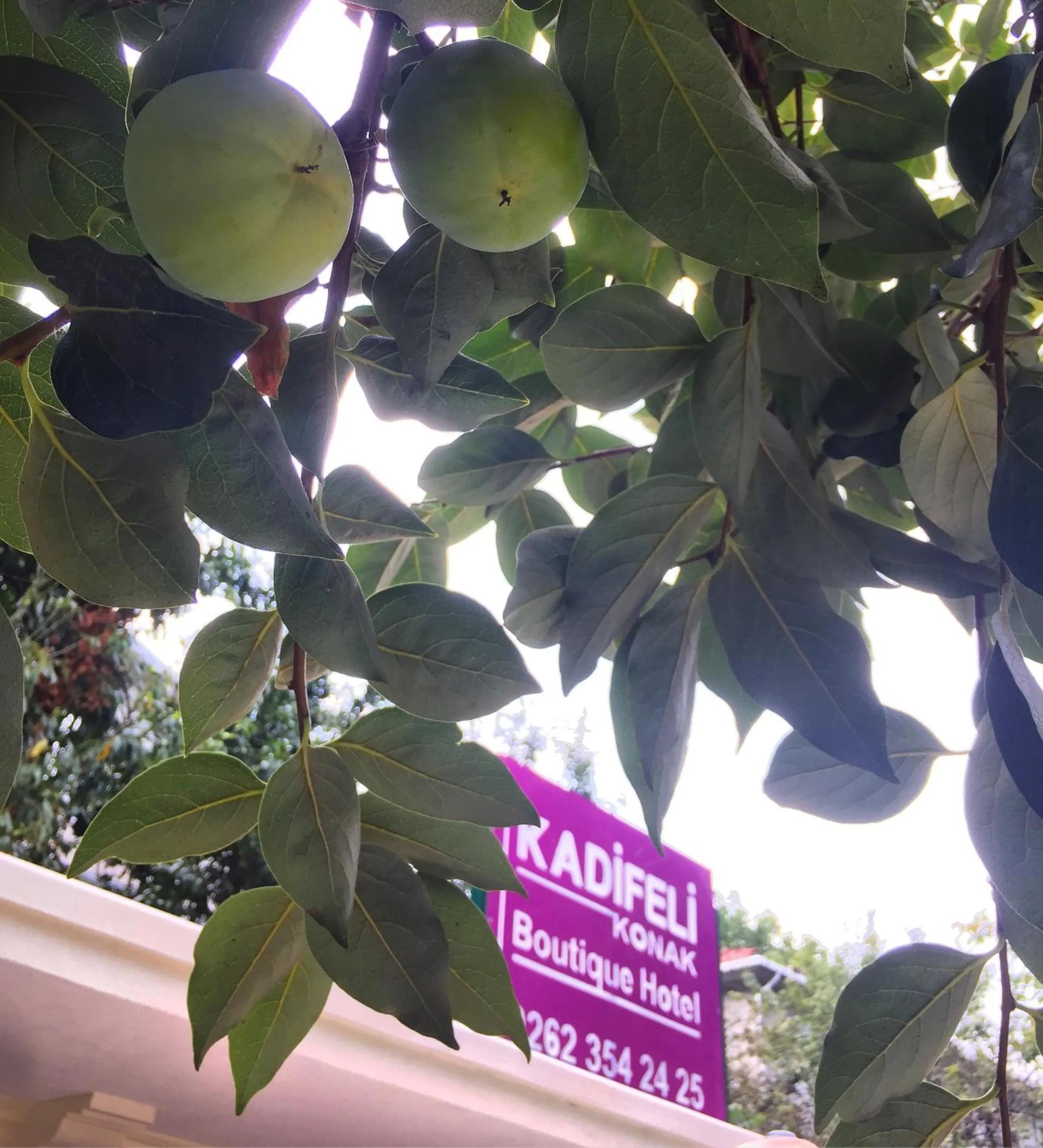 Property logo or sign in Kadifeli Konak Hotel & Bungalow