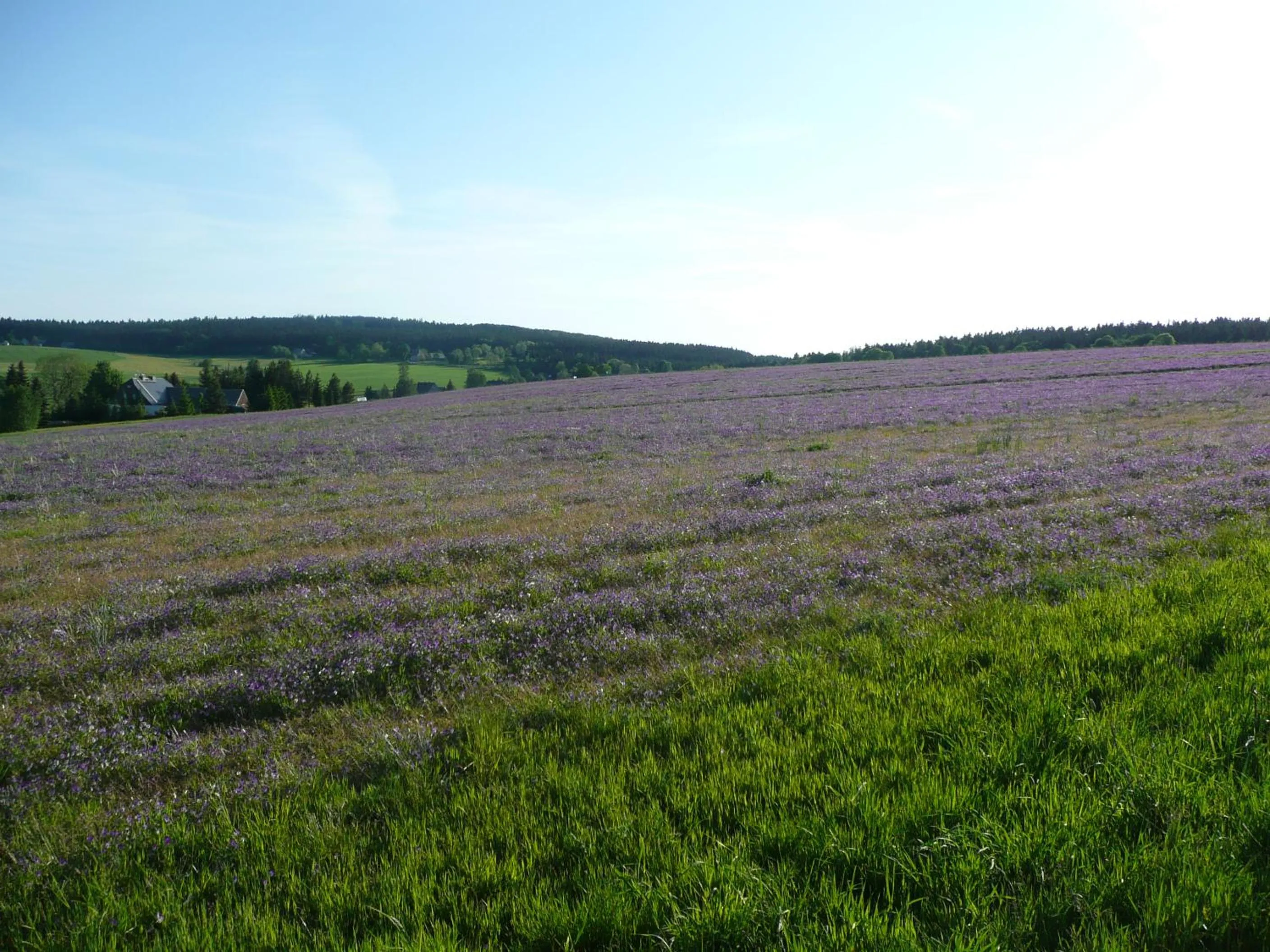 Natural landscape in Gasthaus Ruebenau