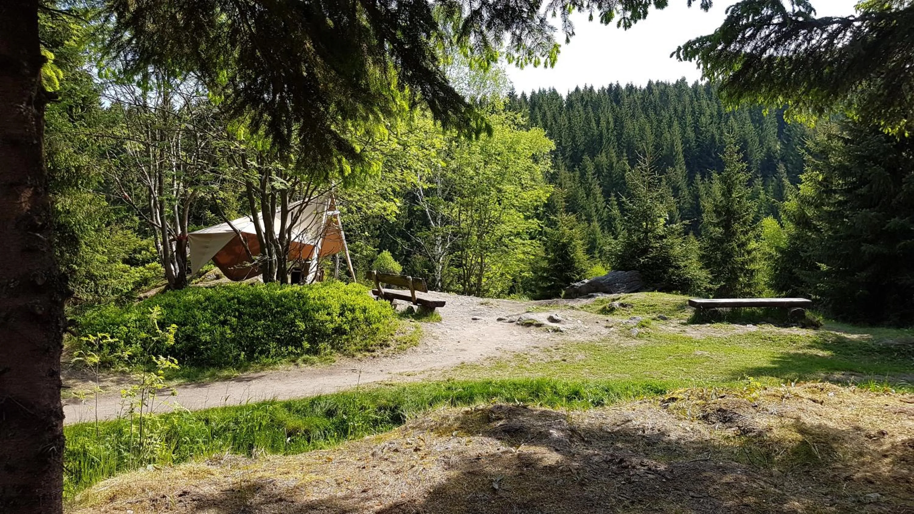 Hiking in Gasthaus Ruebenau
