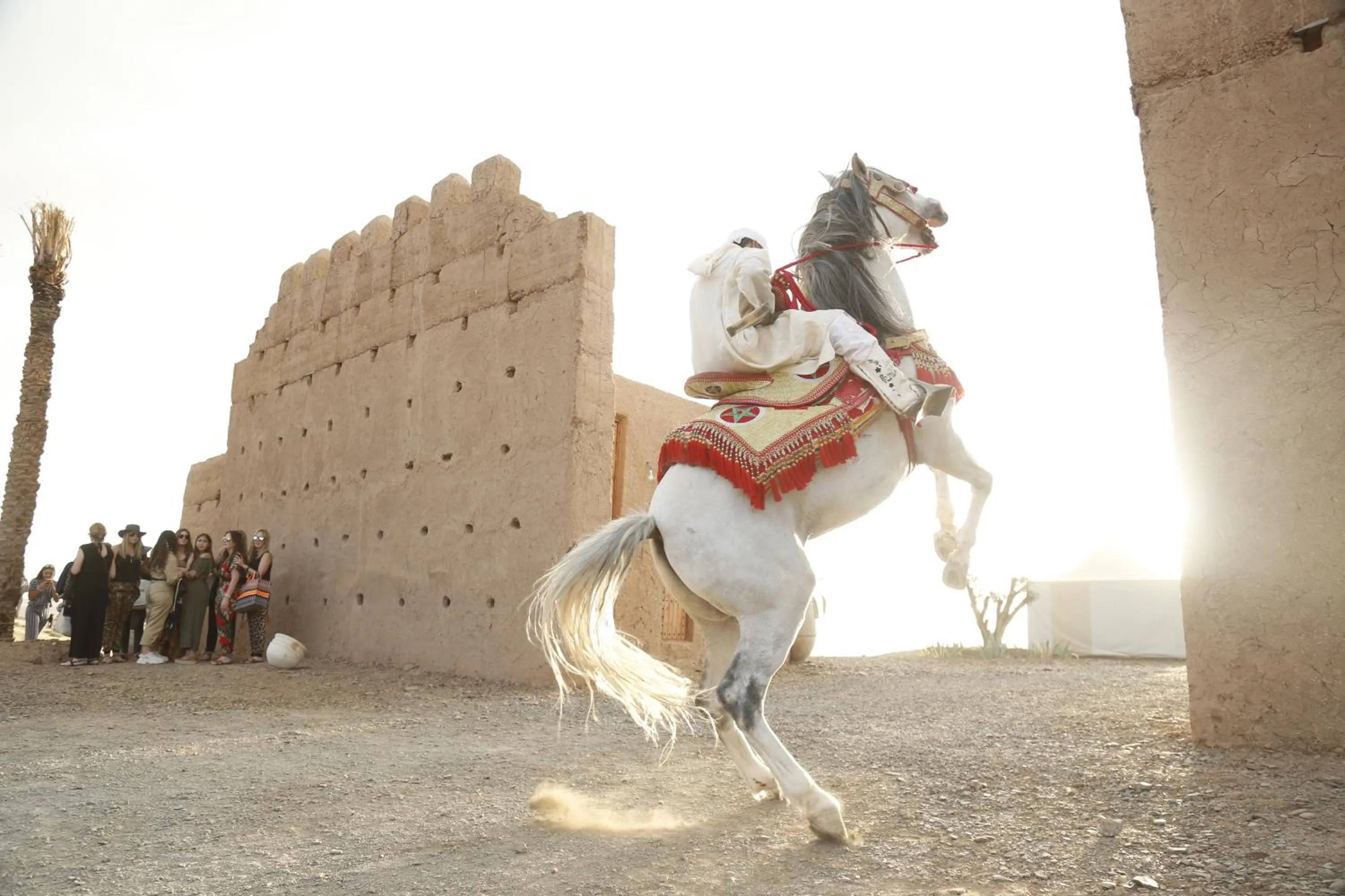 Day in The White Camel Camp - Agafay Desert Activities