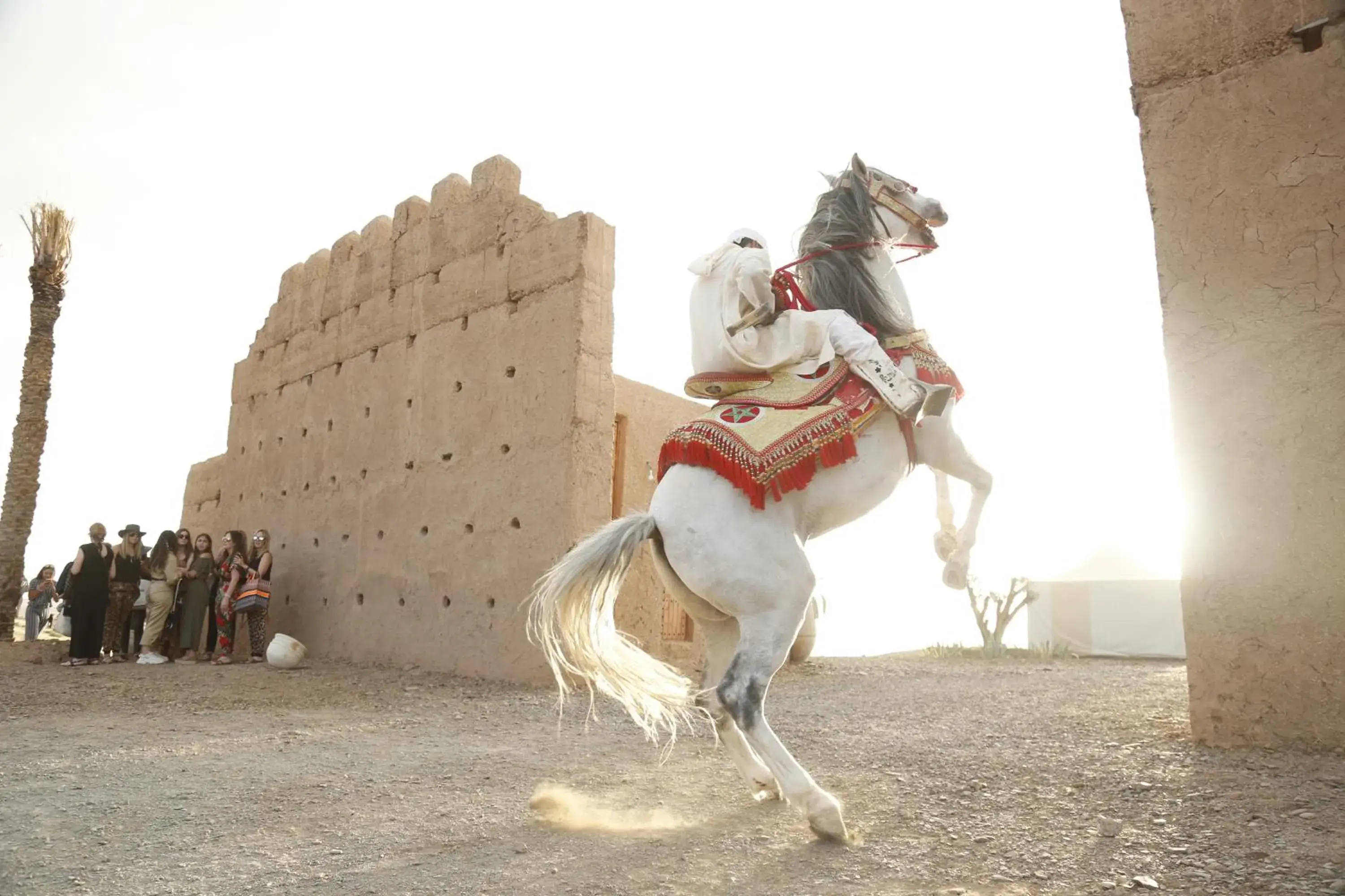 Canyon Lodge in The White Camel Camp - Agafay Desert Activities Canyon Lodge in The White Camel Camp - Agafay Desert Activities