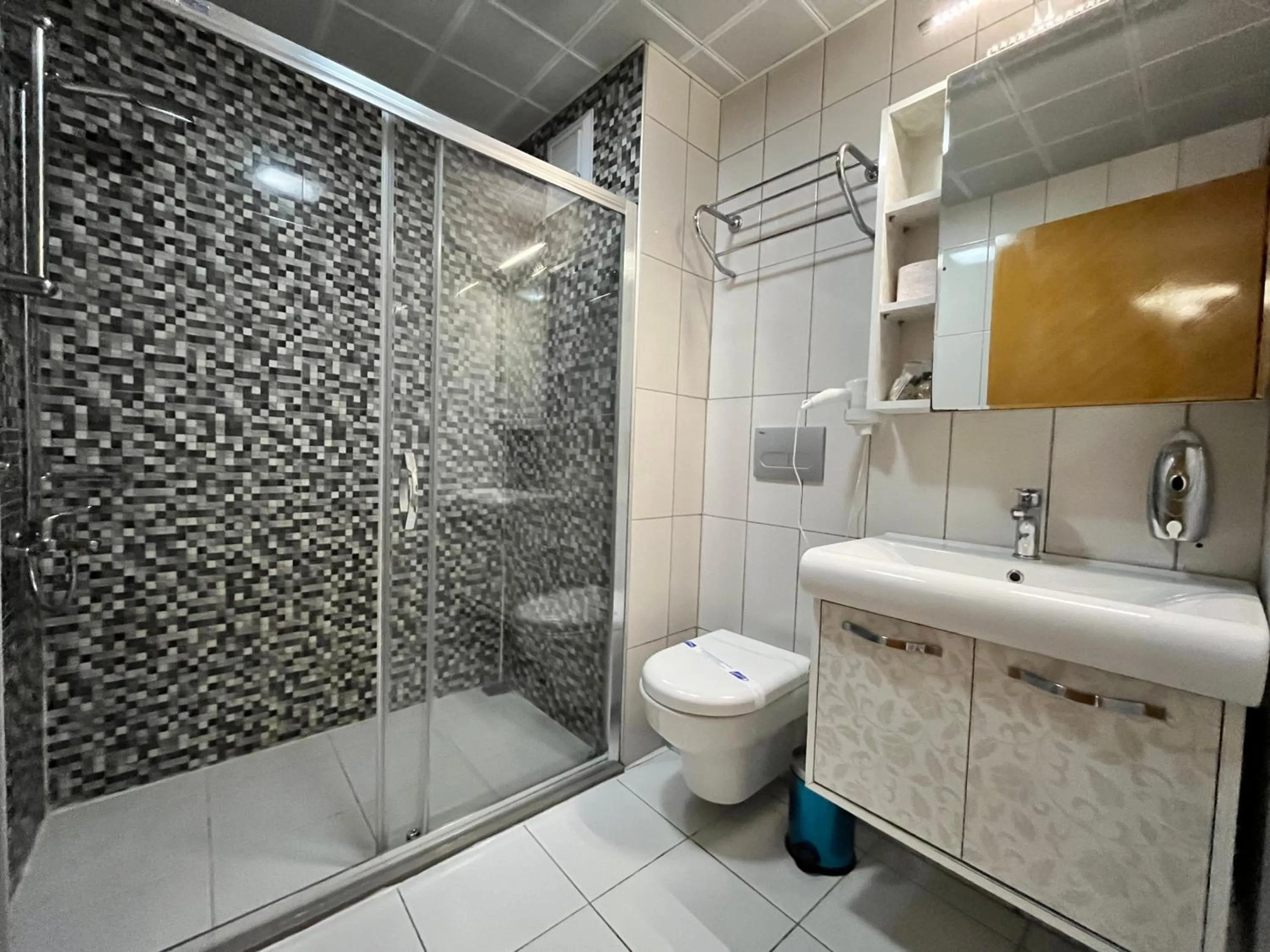 Toilet in MANDALİN AKYAKA