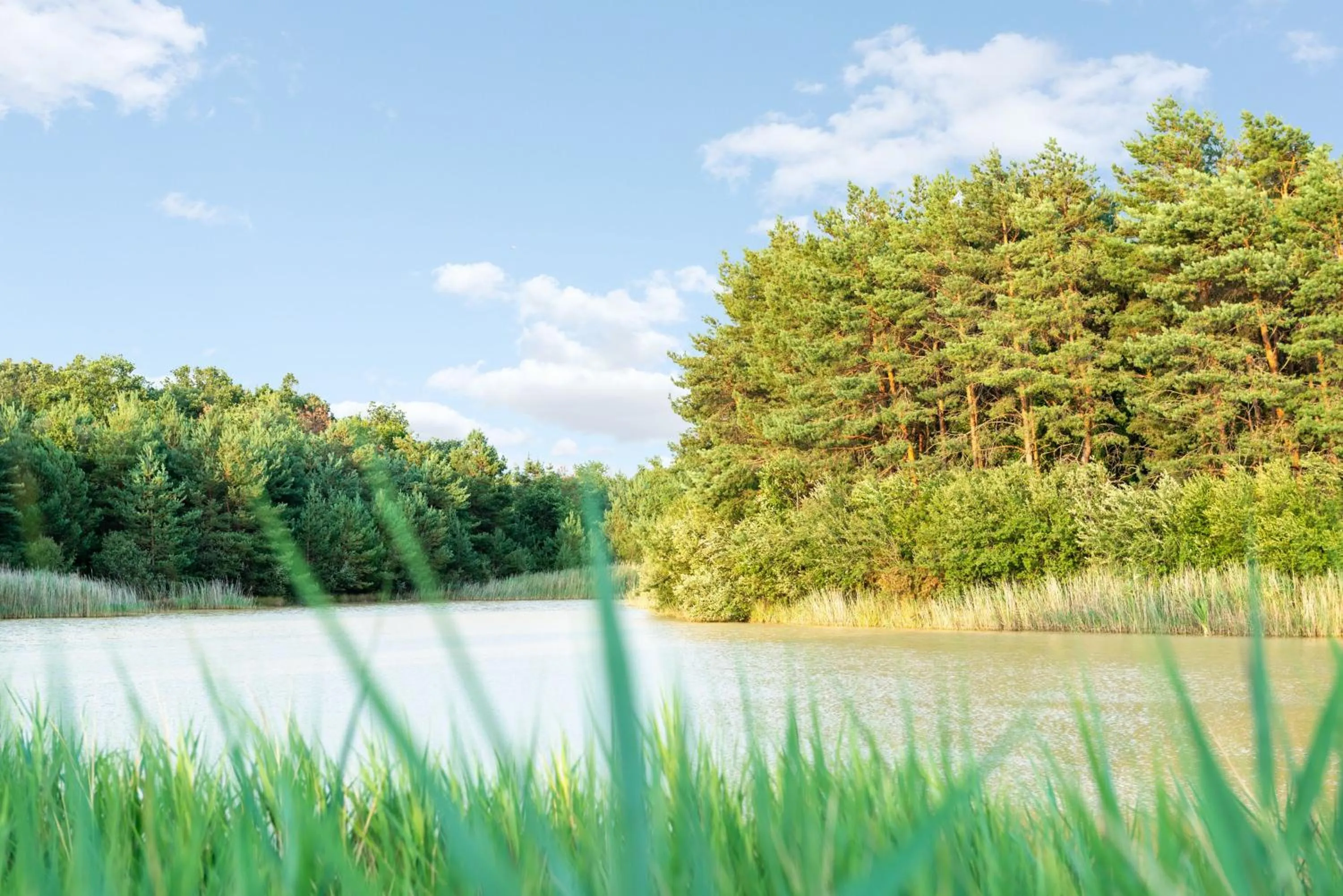 Lake view in Le Manoir de Pierre Levée, The Originals Collection