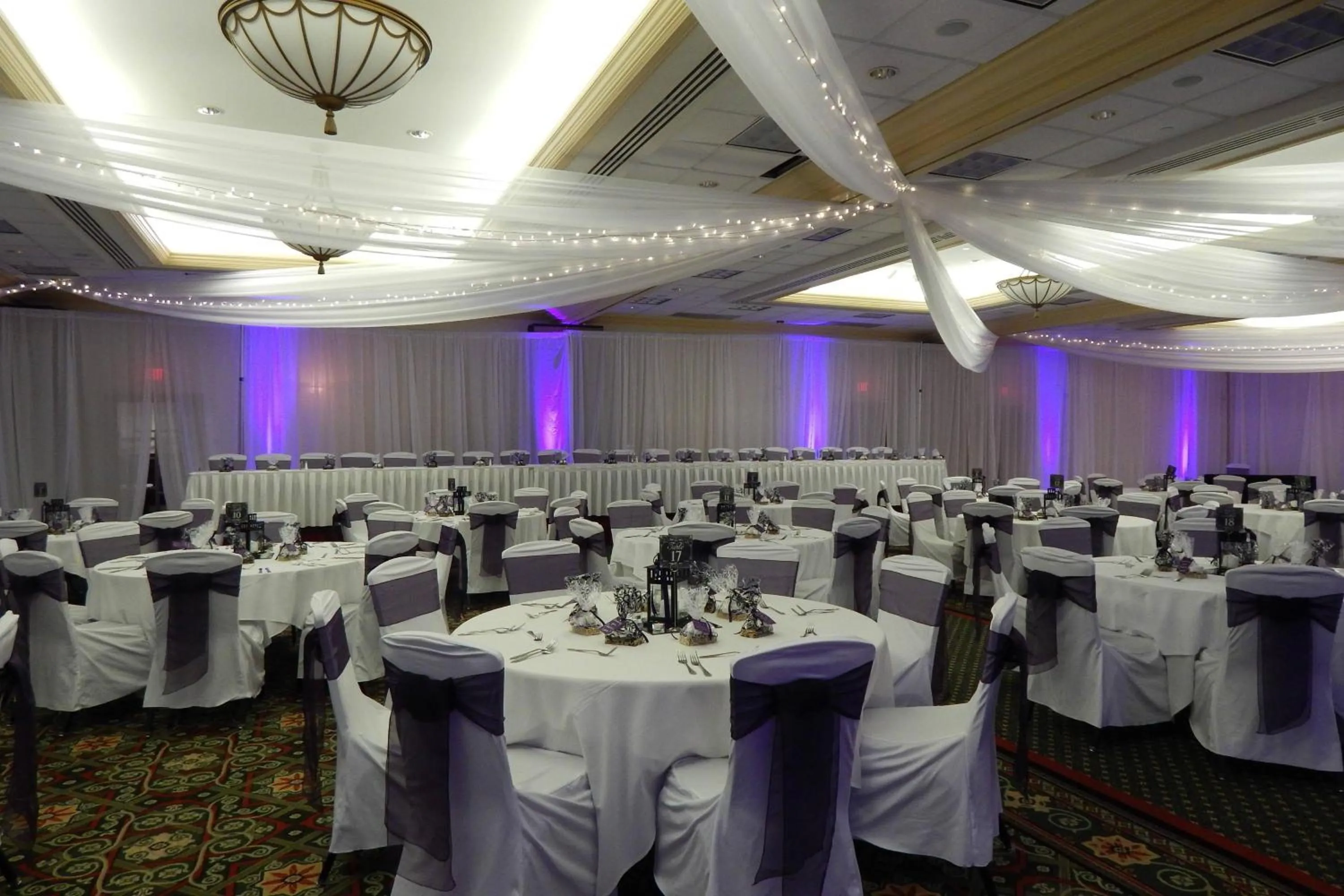 Banquet/Function facilities in DoubleTree by Hilton Minneapolis Airport, MN