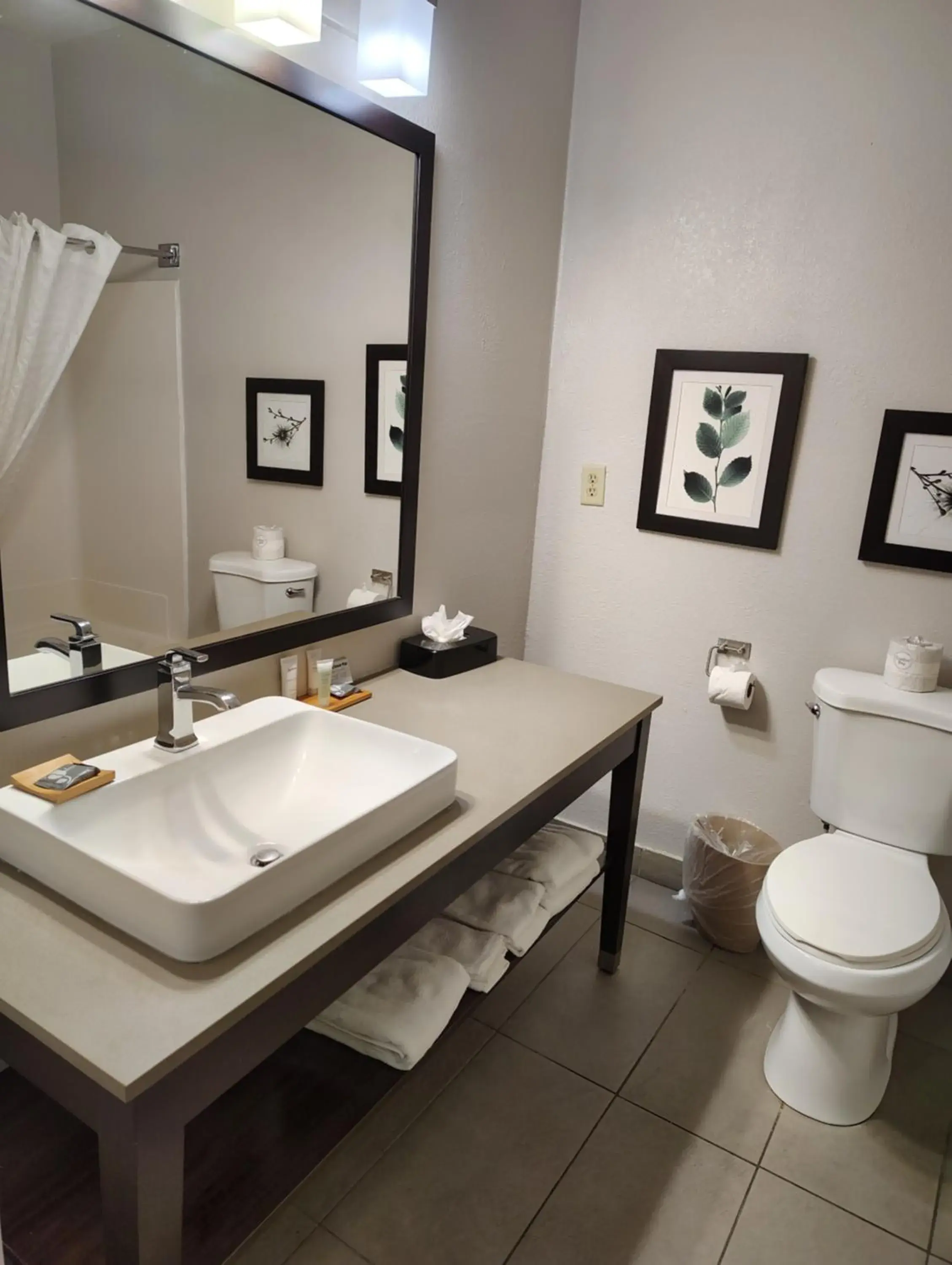 One-Bedroom King Suite with Sofa Bed in Country Inn & Suites by Radisson, Indianapolis South, IN One-Bedroom King Suite with Sofa Bed in Country Inn & Suites by Radisson, Indianapolis South, IN