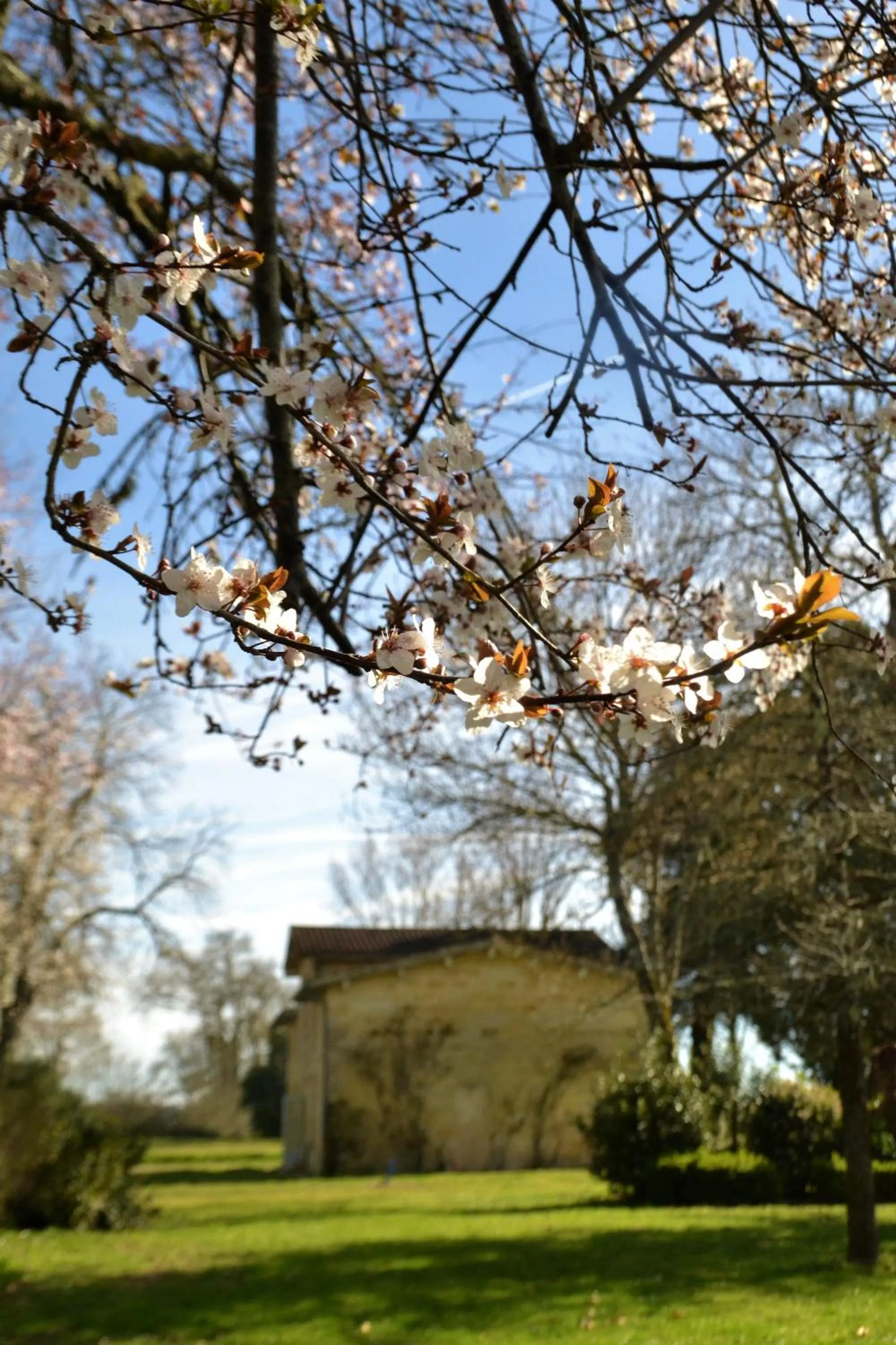 Property building in Relais de Margaux - Hôtel, Golf & Spa