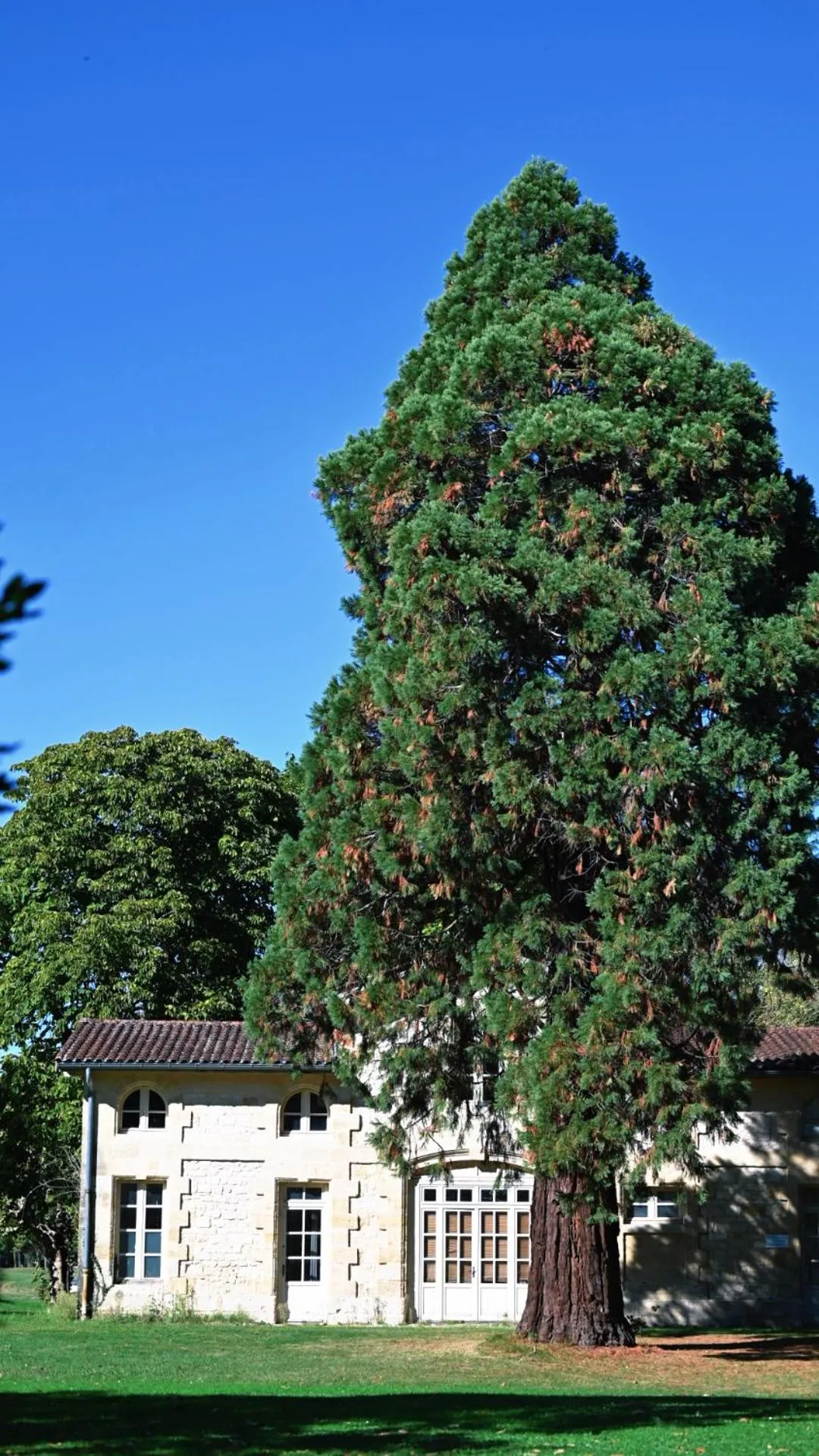Property building in Relais de Margaux - Hôtel, Golf & Spa
