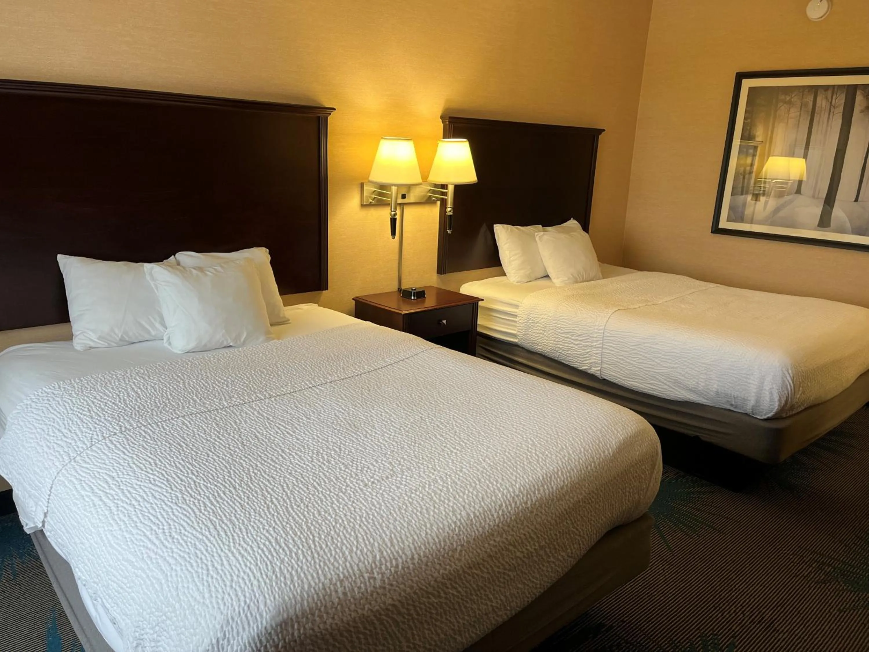 Guests, Bed in Days Inn by Wyndham Duluth Lakewalk