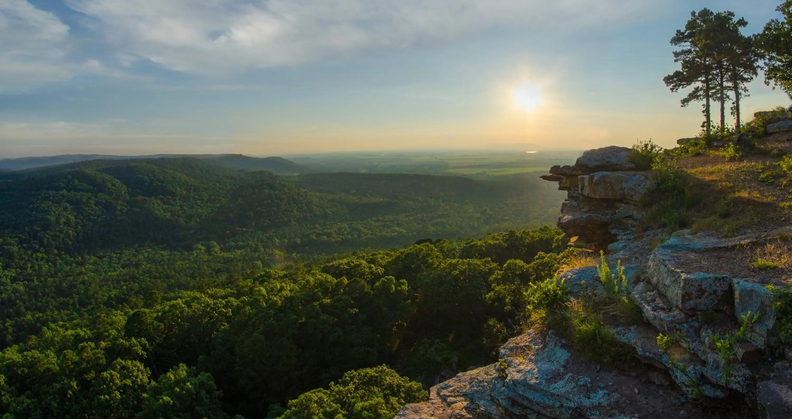 Natural landscape in THE BRANSINN Entertainment District