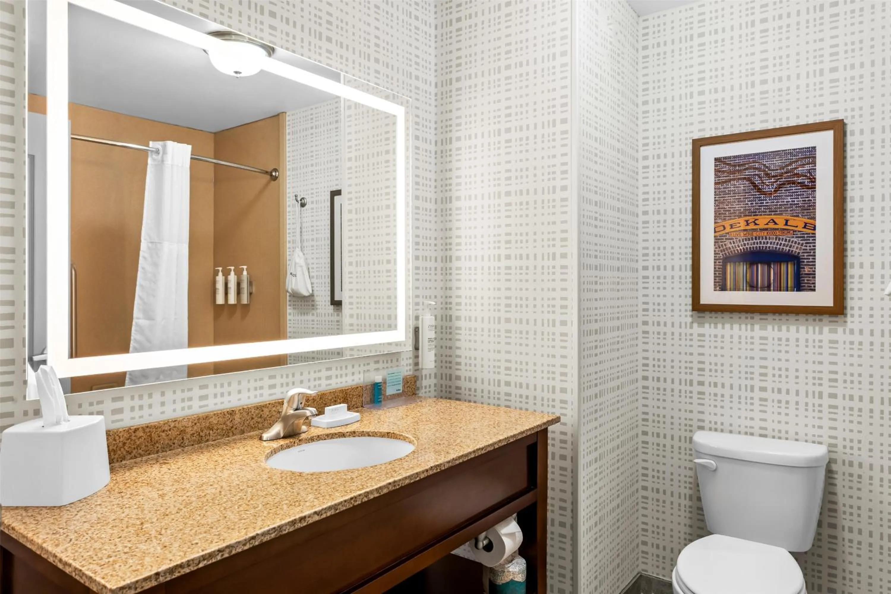 Bathroom in Hampton Inn Dekalb - Near the University