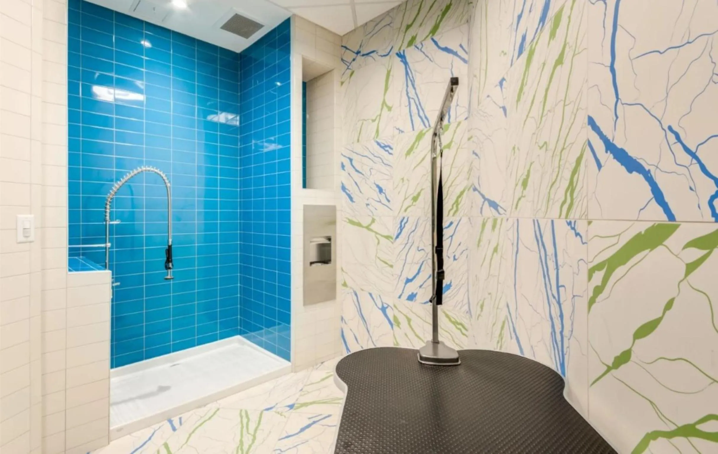 Animals in Bluebird Suites Near Chevy Chase