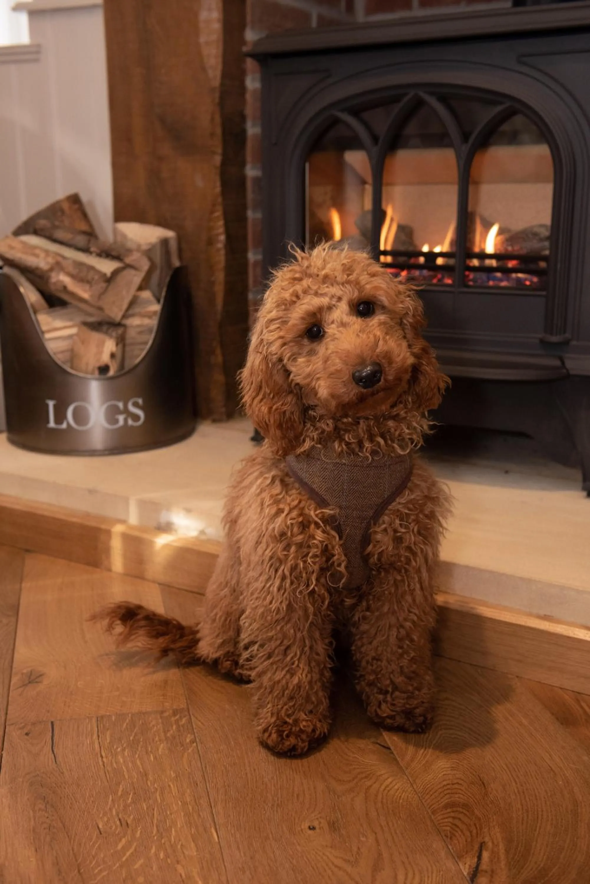 Restaurant/places to eat in The Farrier