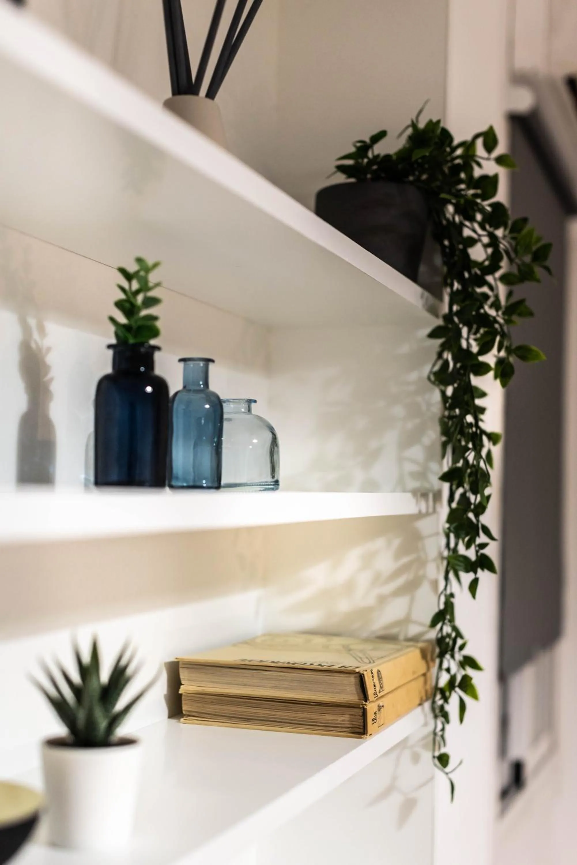 Decorative detail in Nordik Rooms Urban - Trinidad "Copenhague"