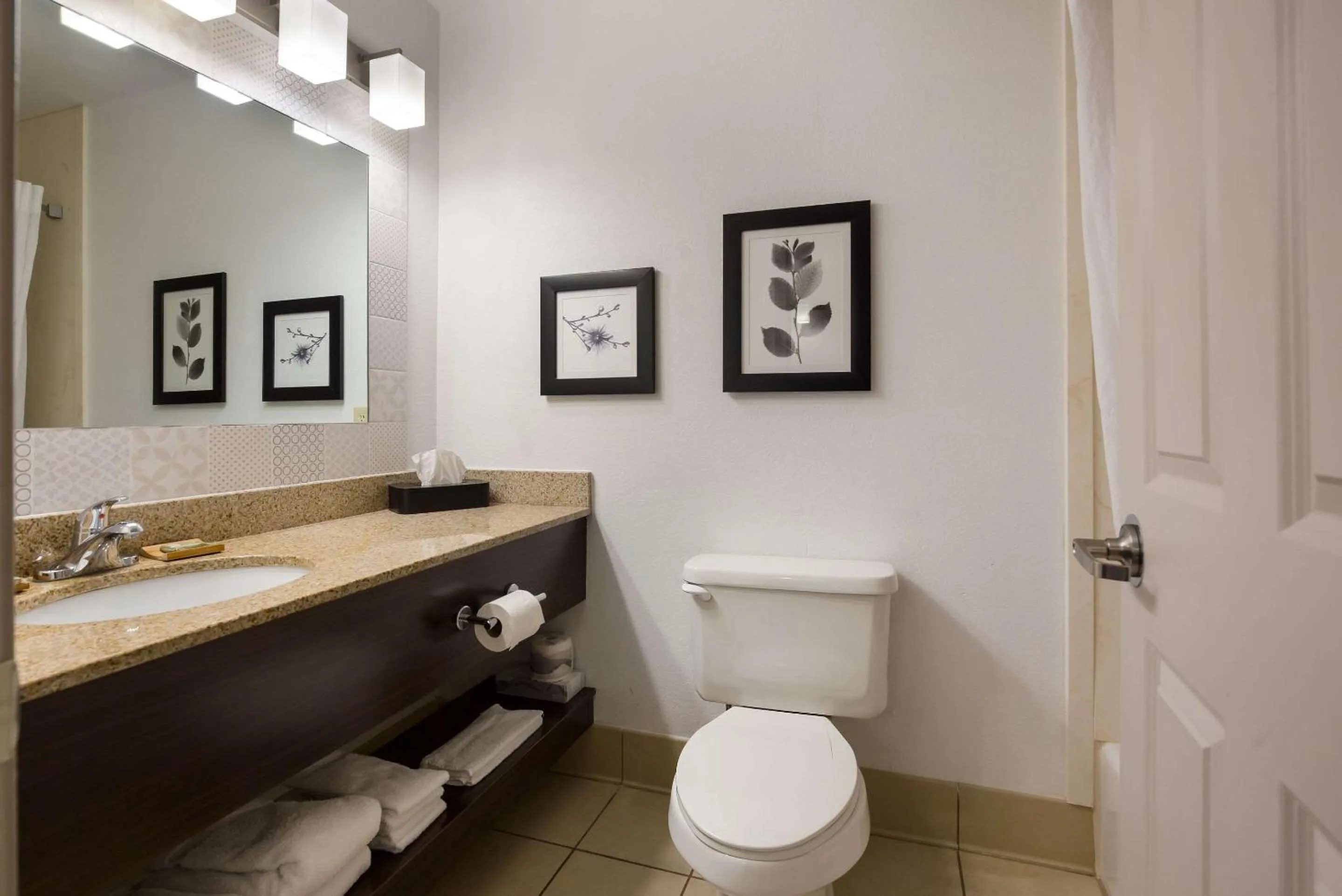 Bathroom in Country Inn & Suites by Radisson, Marion, IL