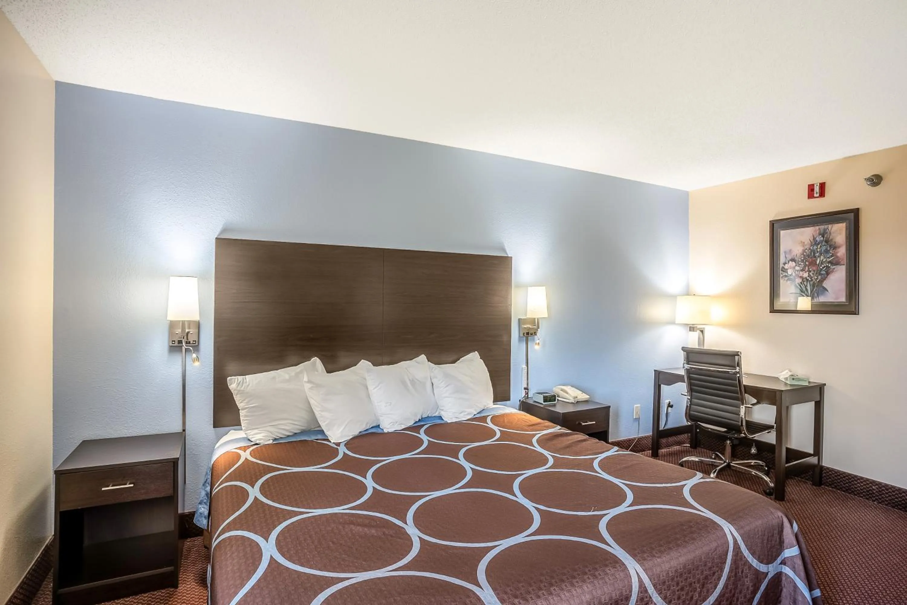 Bedroom, Bed in Super 8 by Wyndham Galesburg