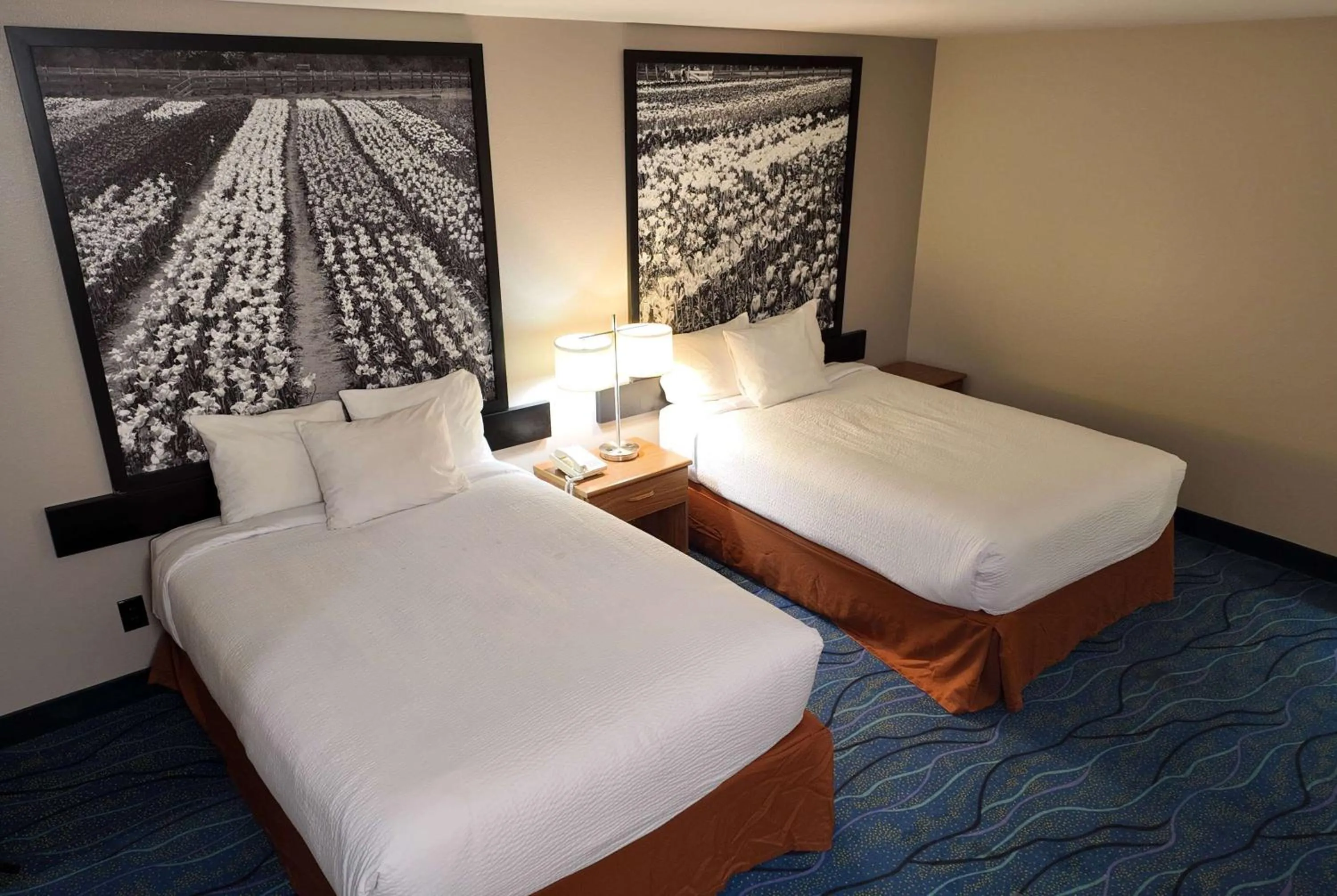 Photo of the whole room, Bed in Super 8 by Wyndham Hampshire IL