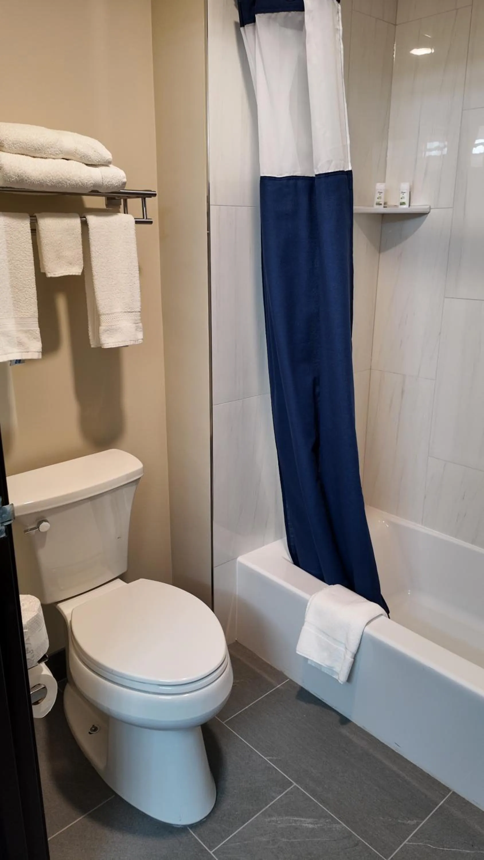 Bathroom in Super 8 by Wyndham Hampshire IL