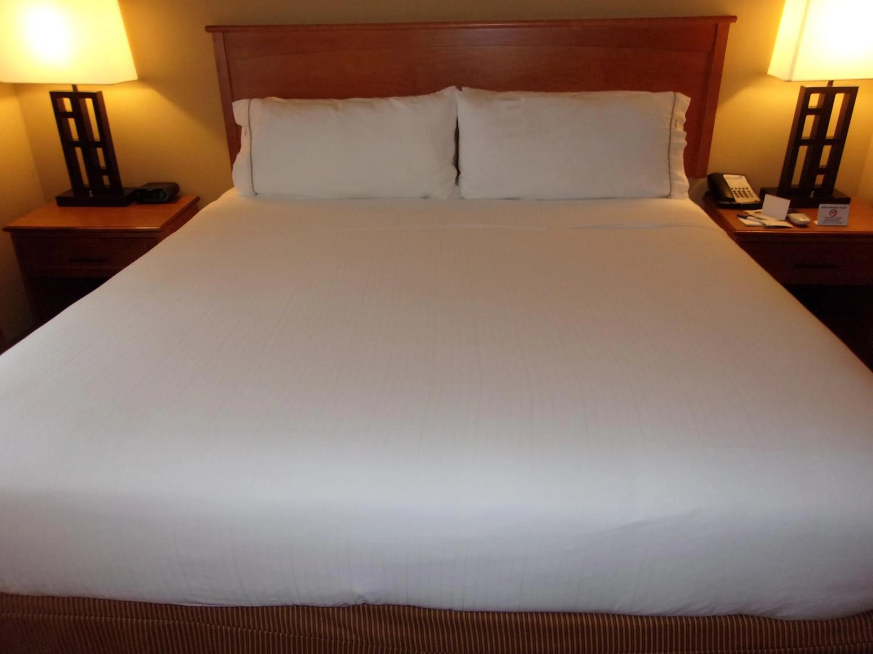 Photo of the whole room, Bed in Holiday Inn Express Hotel & Suites Chicago West Roselle by IHG
