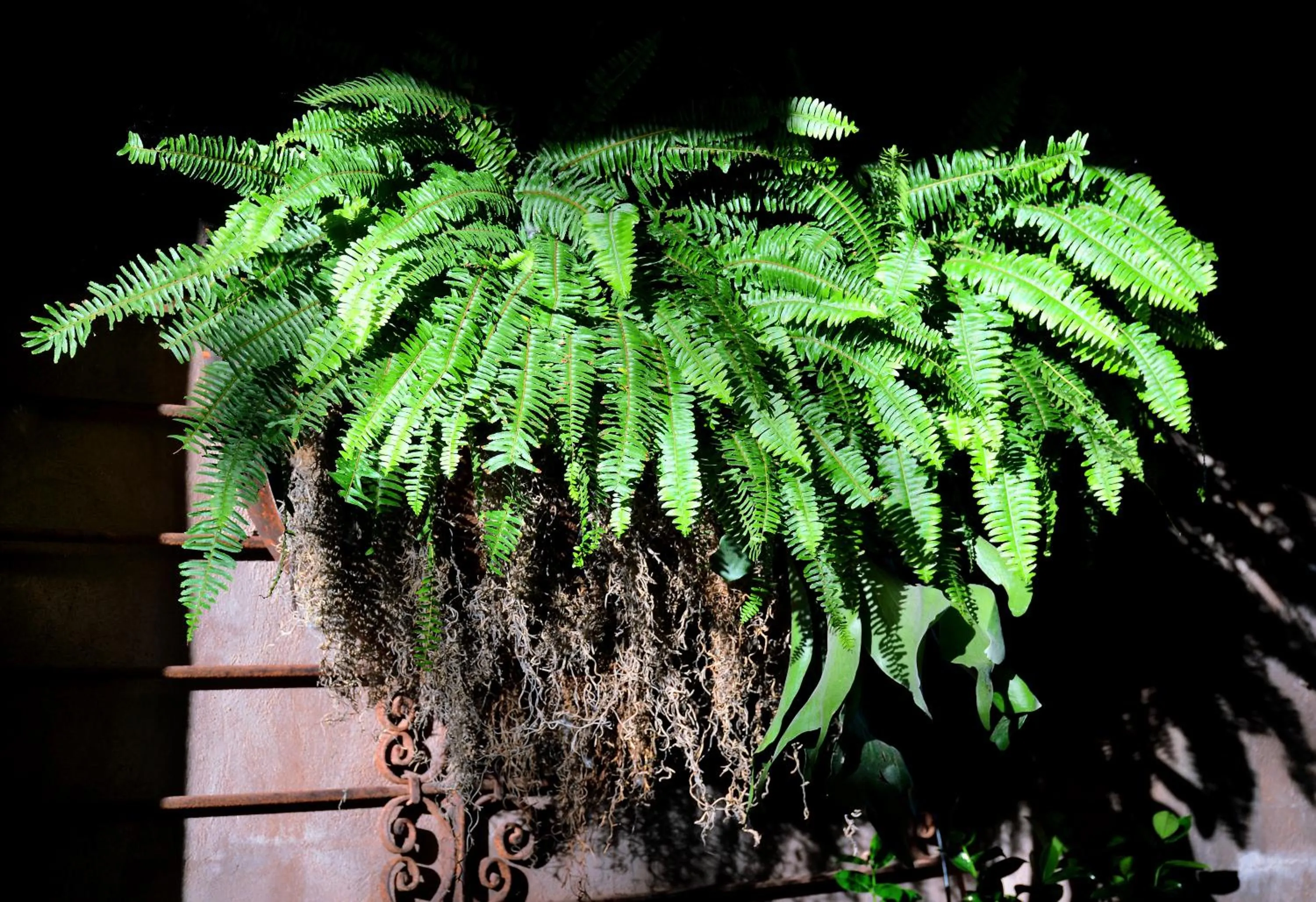 Property building in El Portal Sedona Hotel