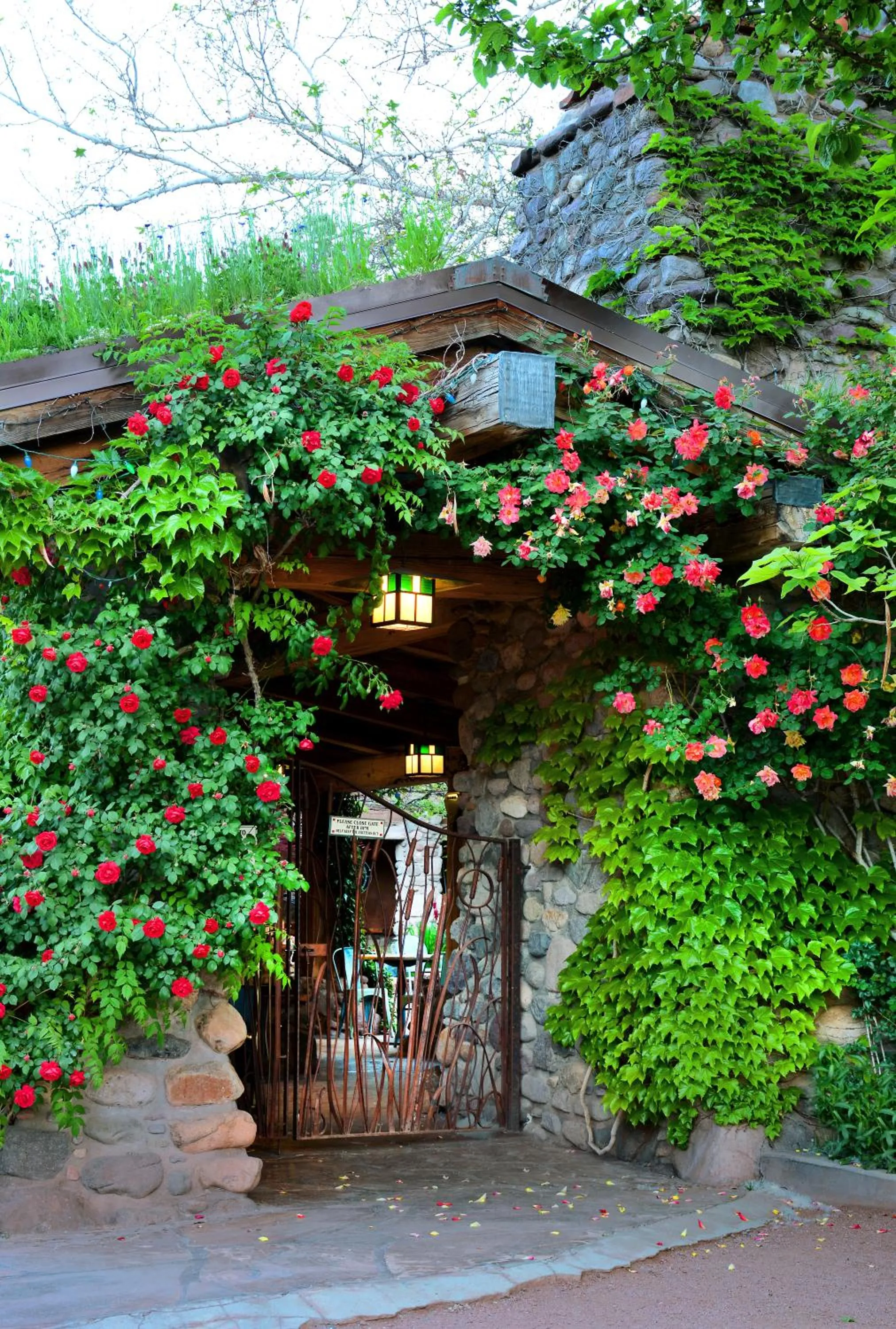 Property building in El Portal Sedona Hotel