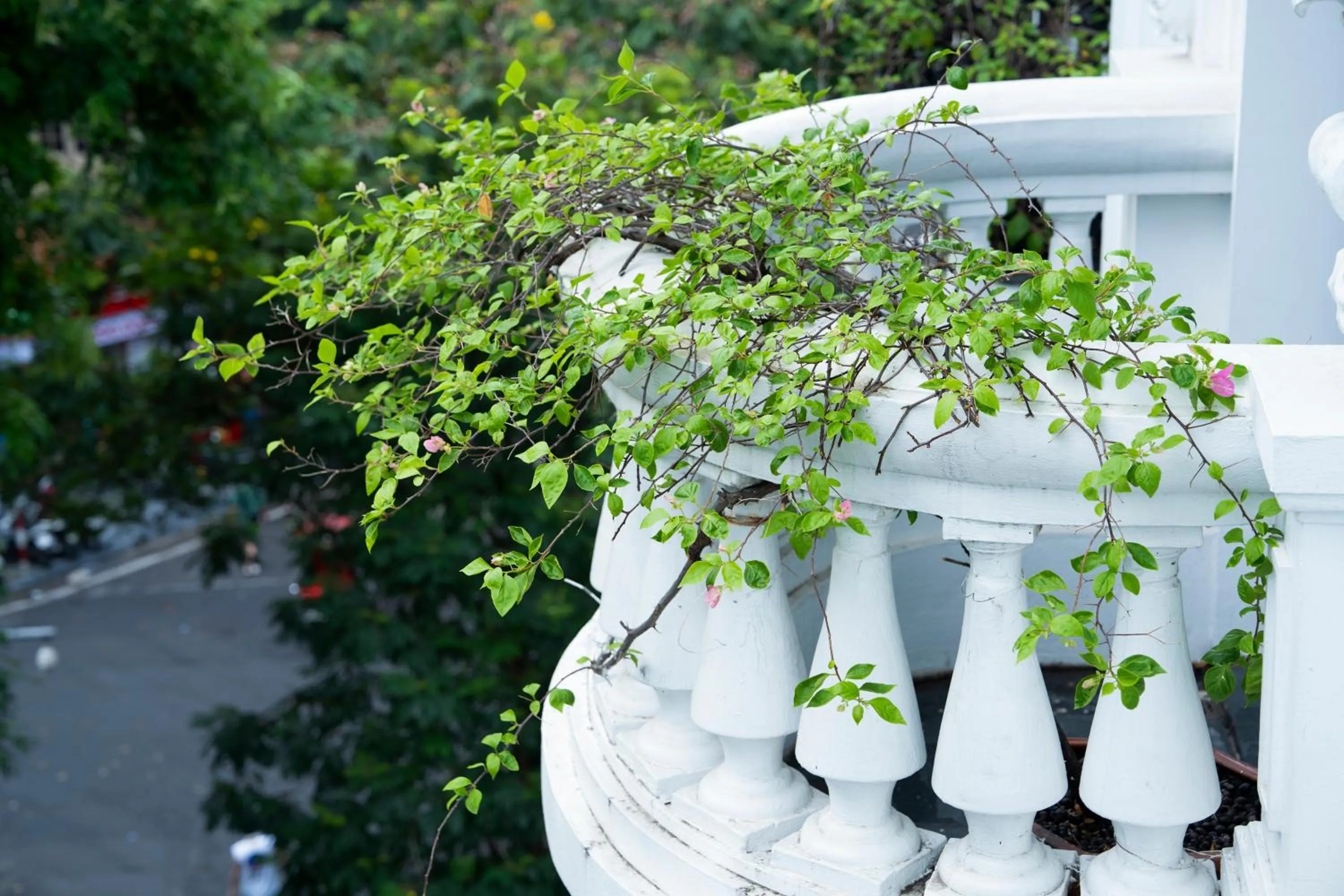 Balcony/Terrace in La Sinfonía del Rey Hotel & Spa