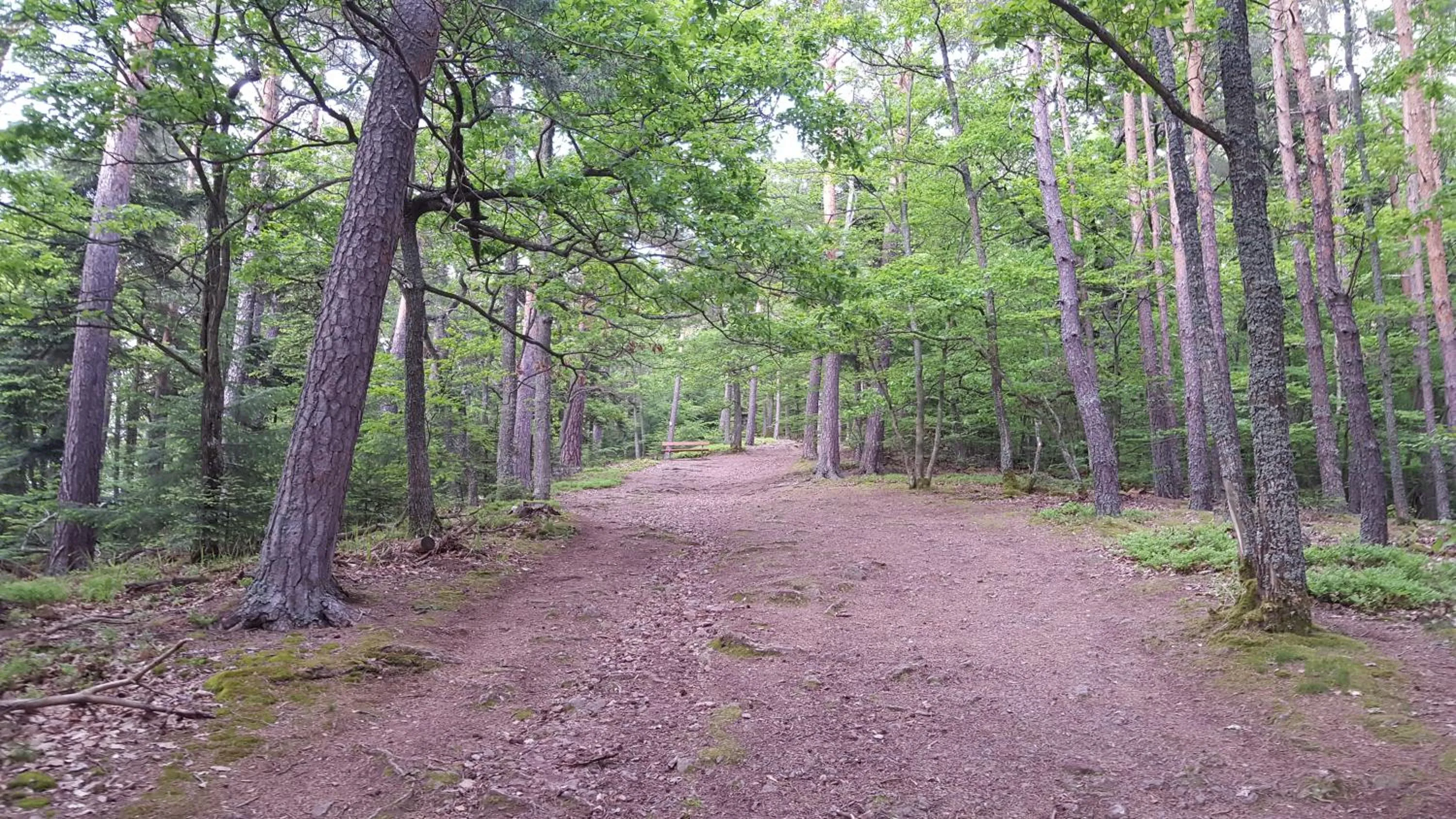Hiking in Les Iris Chambres d’hôte