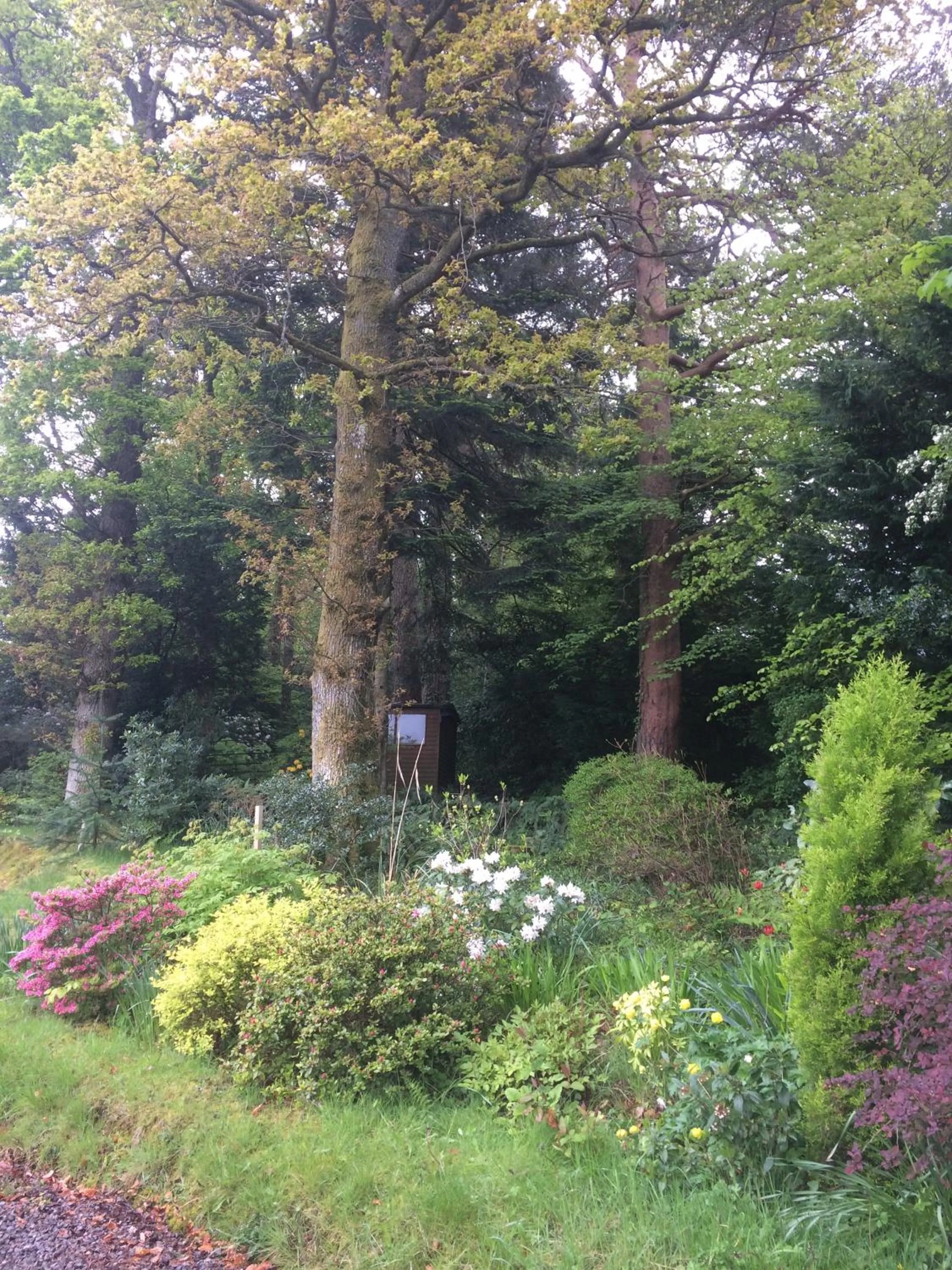 Claremont House Keswick