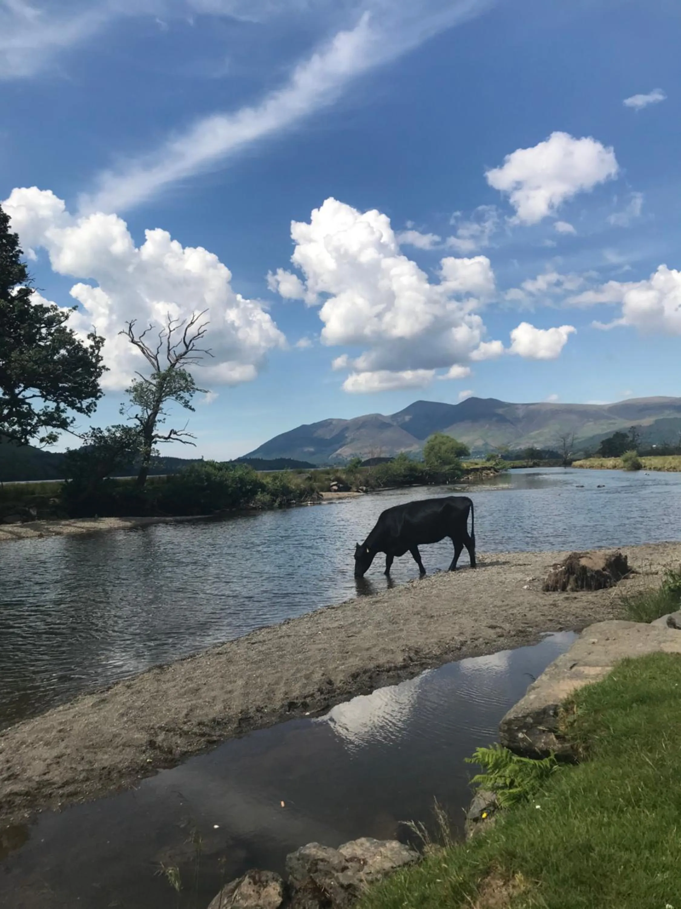 Claremont House Keswick