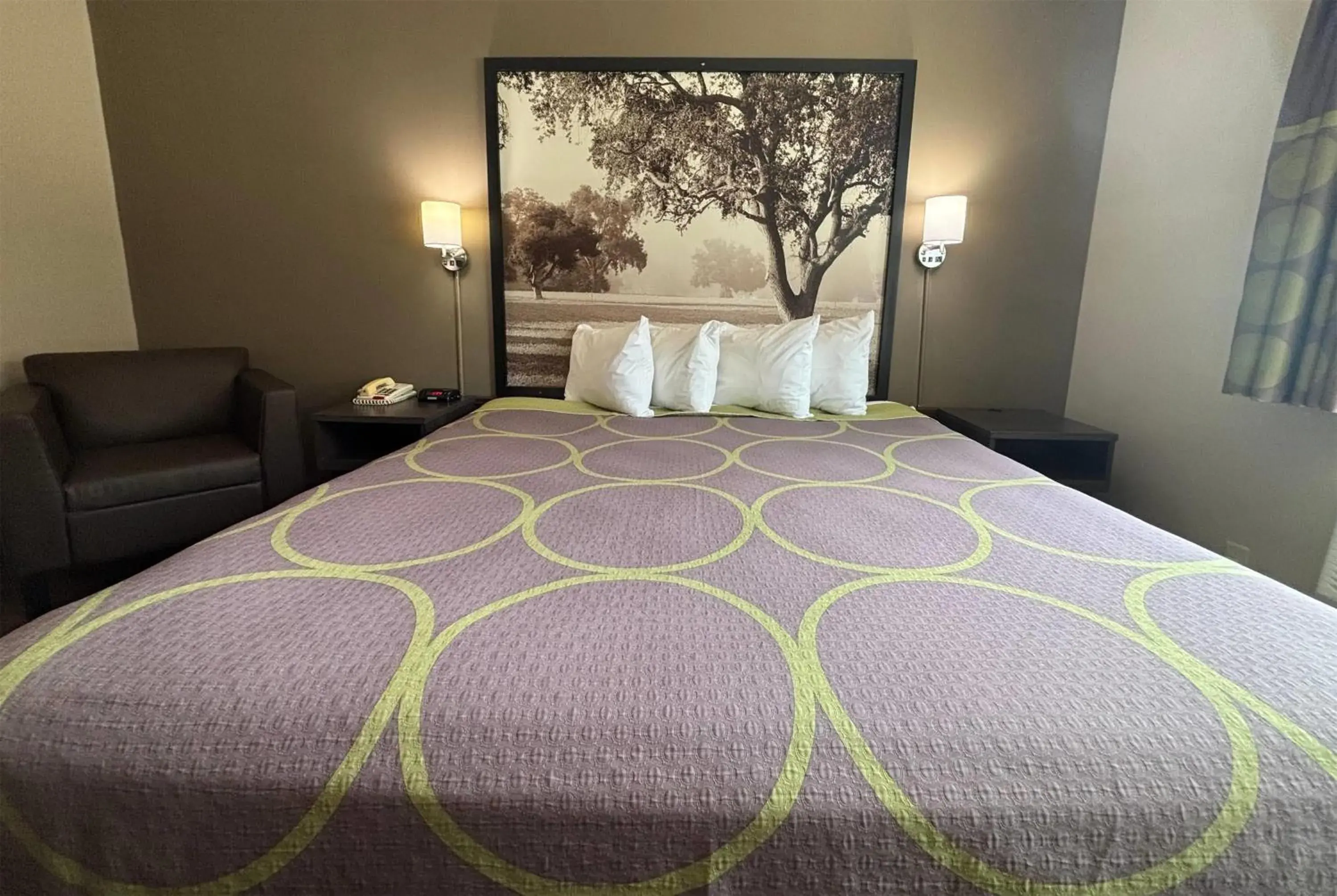 Standard King Room in Super 8 by Wyndham Grayville Standard King Room in Super 8 by Wyndham Grayville