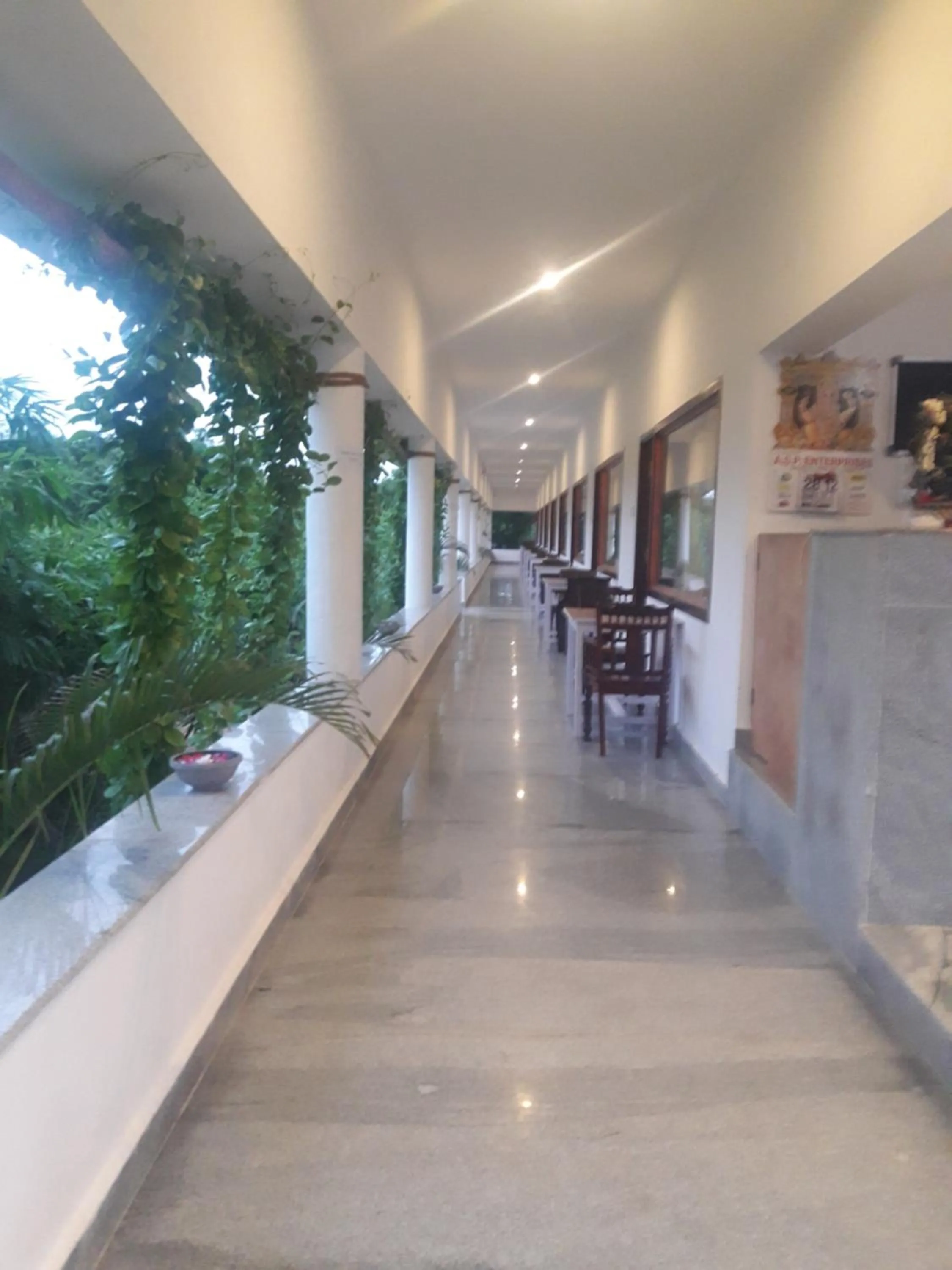 Alice Paradise by Moonrakers