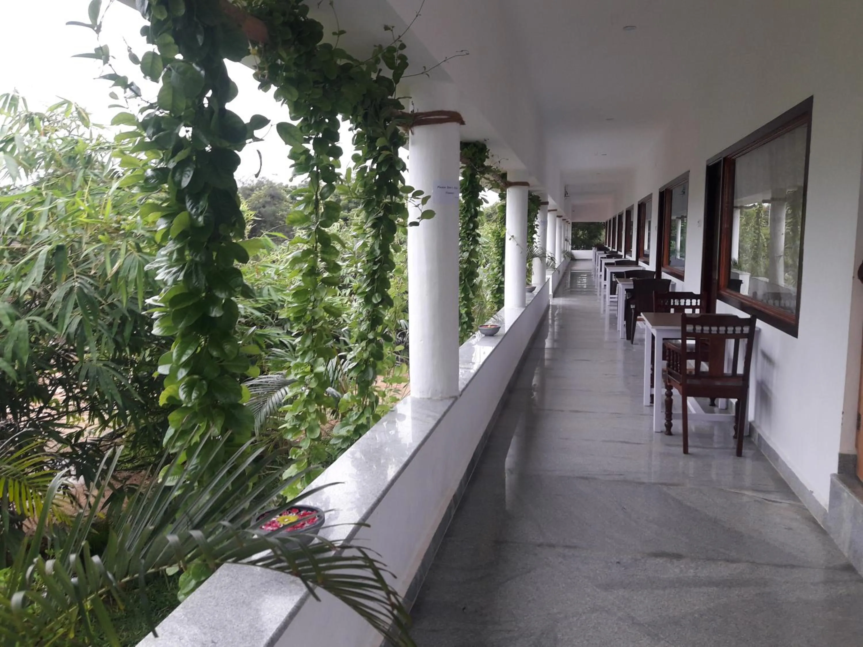 Alice Paradise by Moonrakers