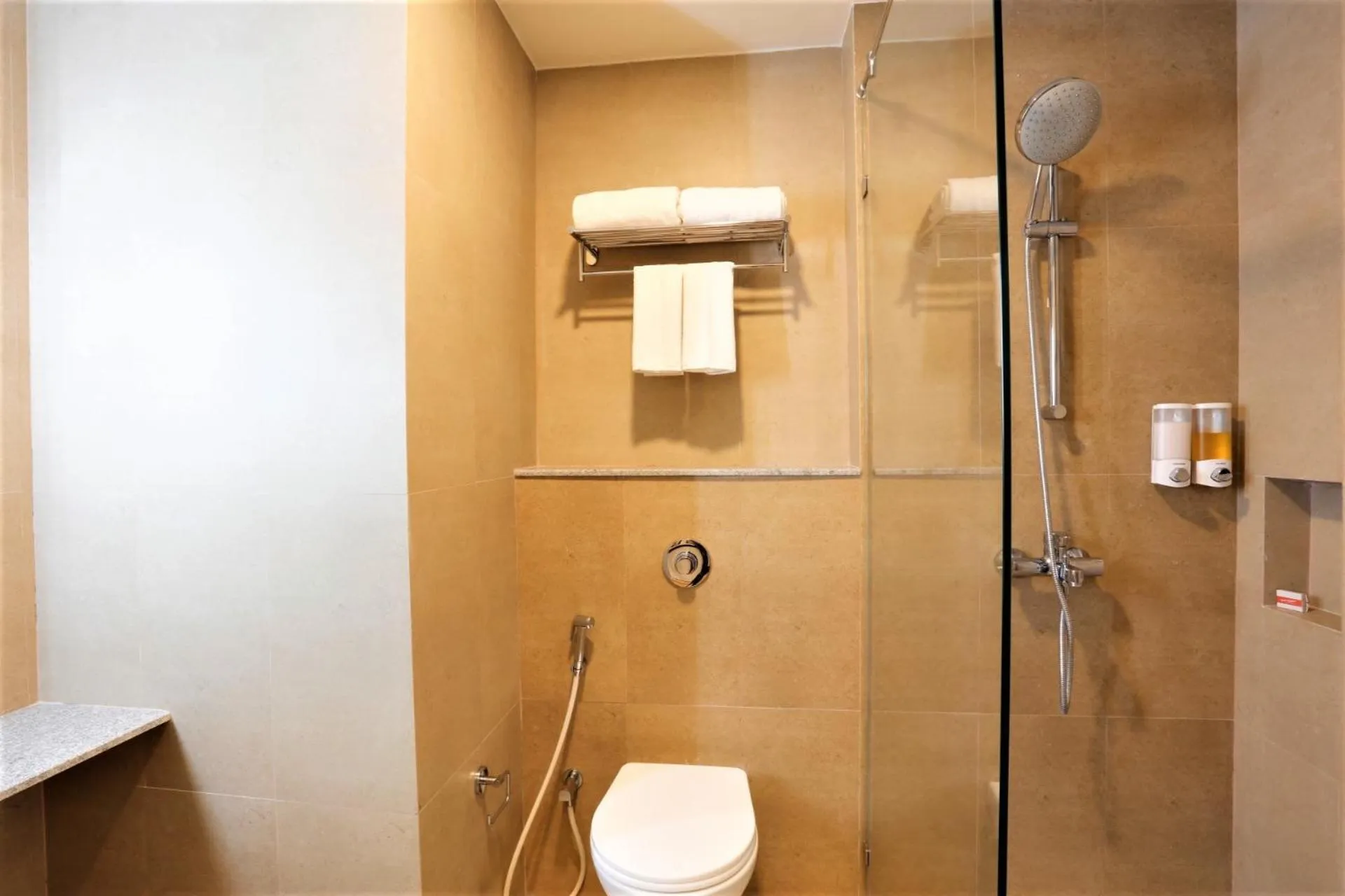 Shower in Ginger Dwarka