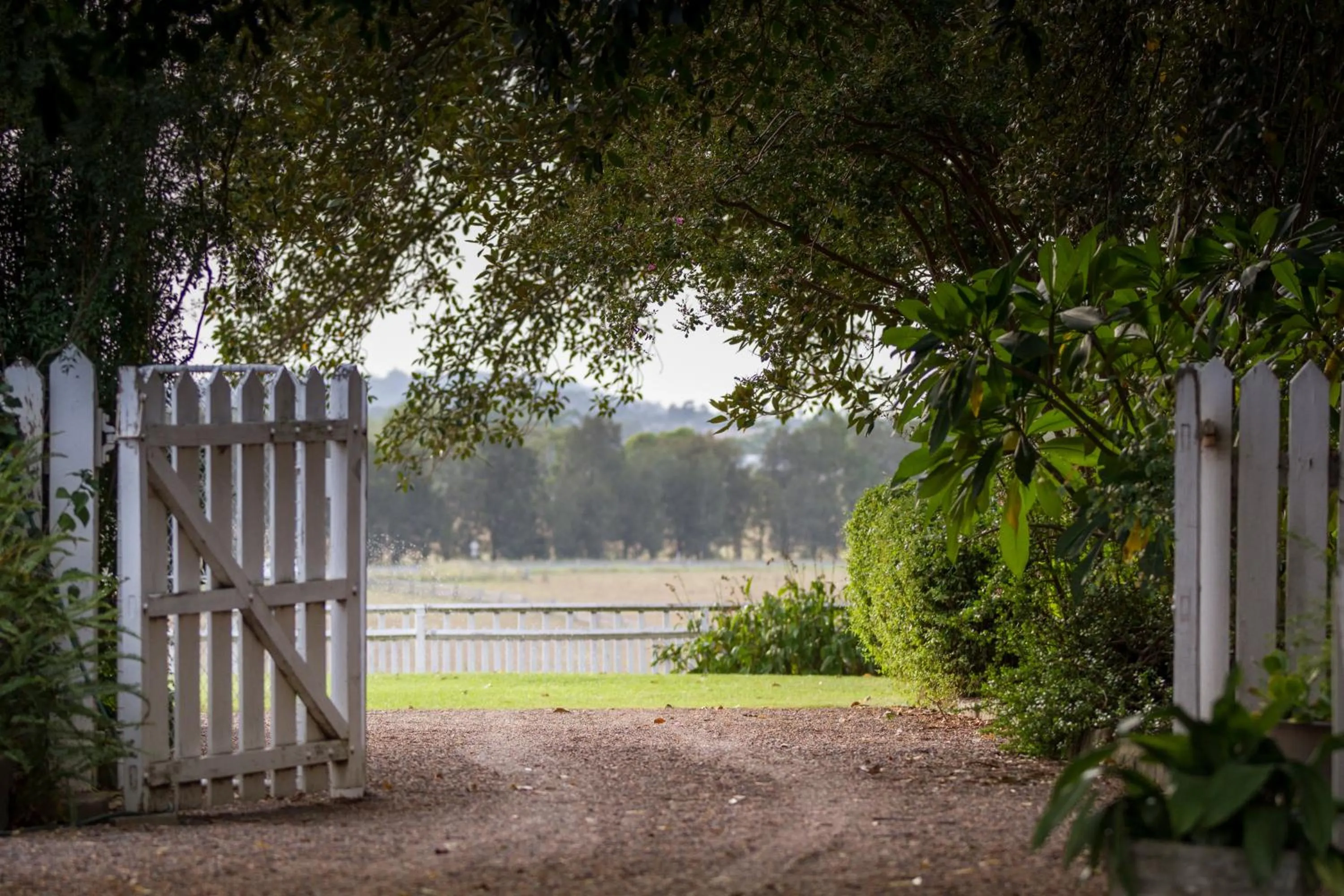 Garden in The Barracks, Tocal