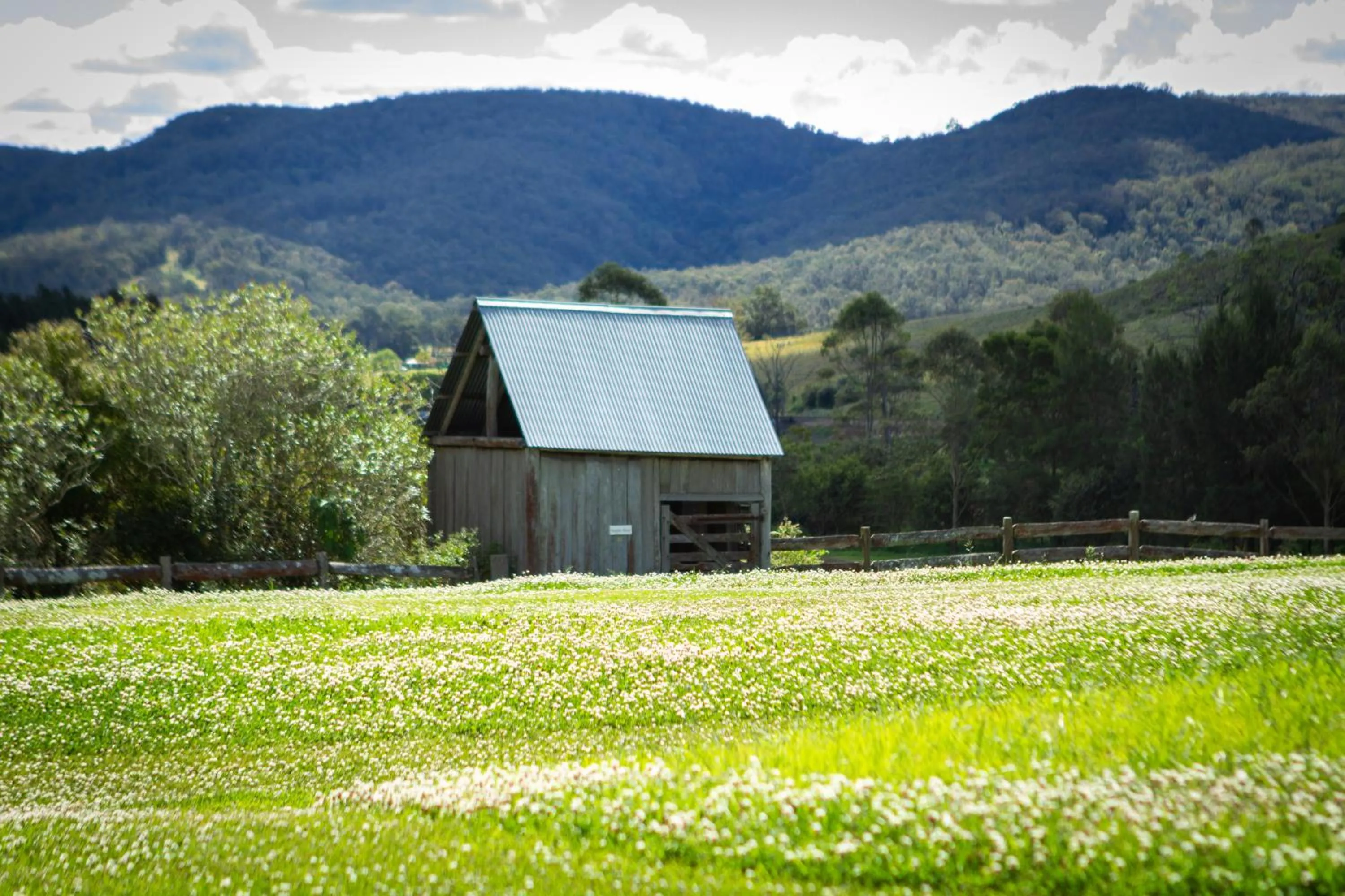 Mountain view in The Barracks, Tocal