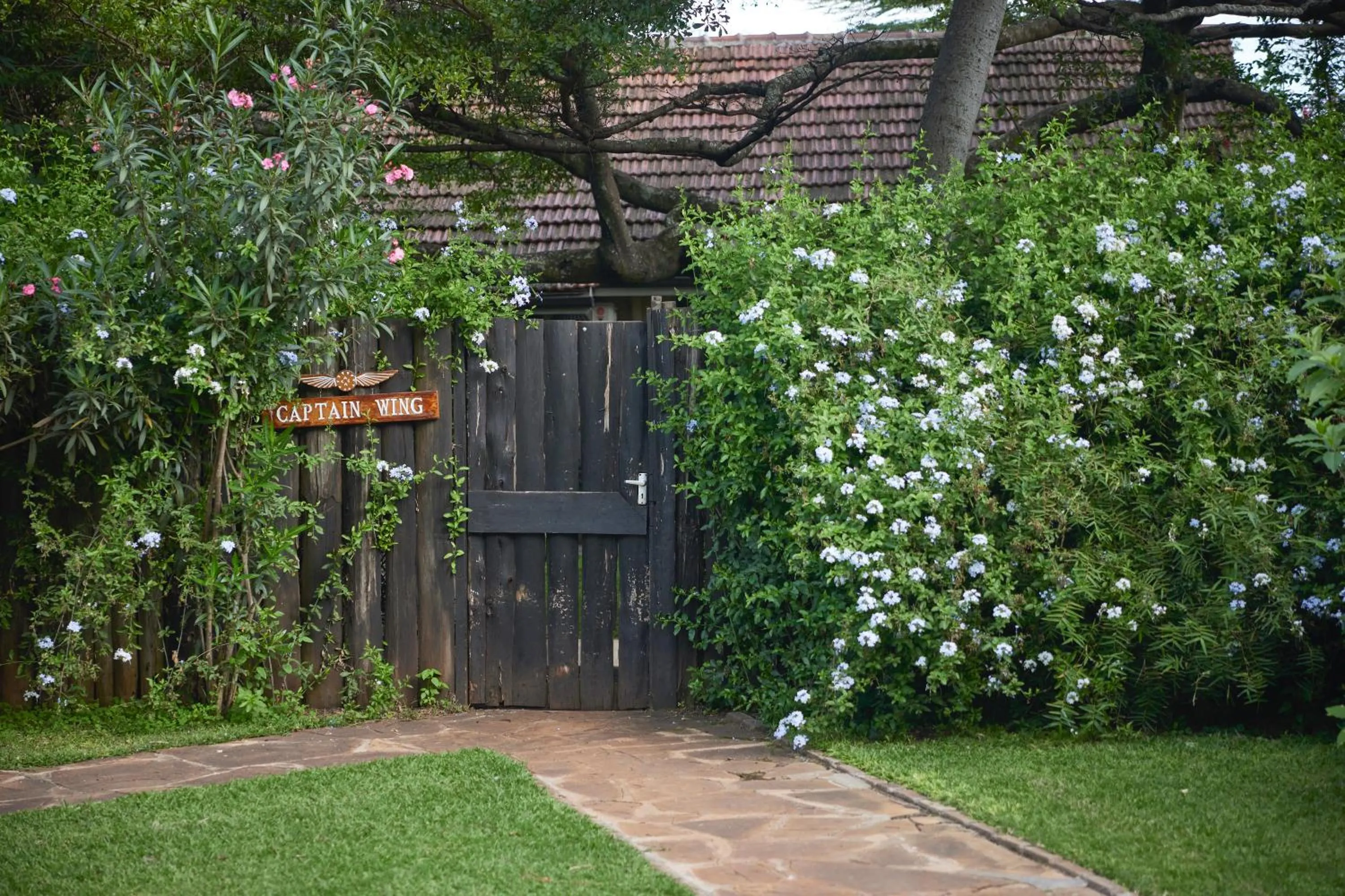 Garden view in Aero Club of East Africa