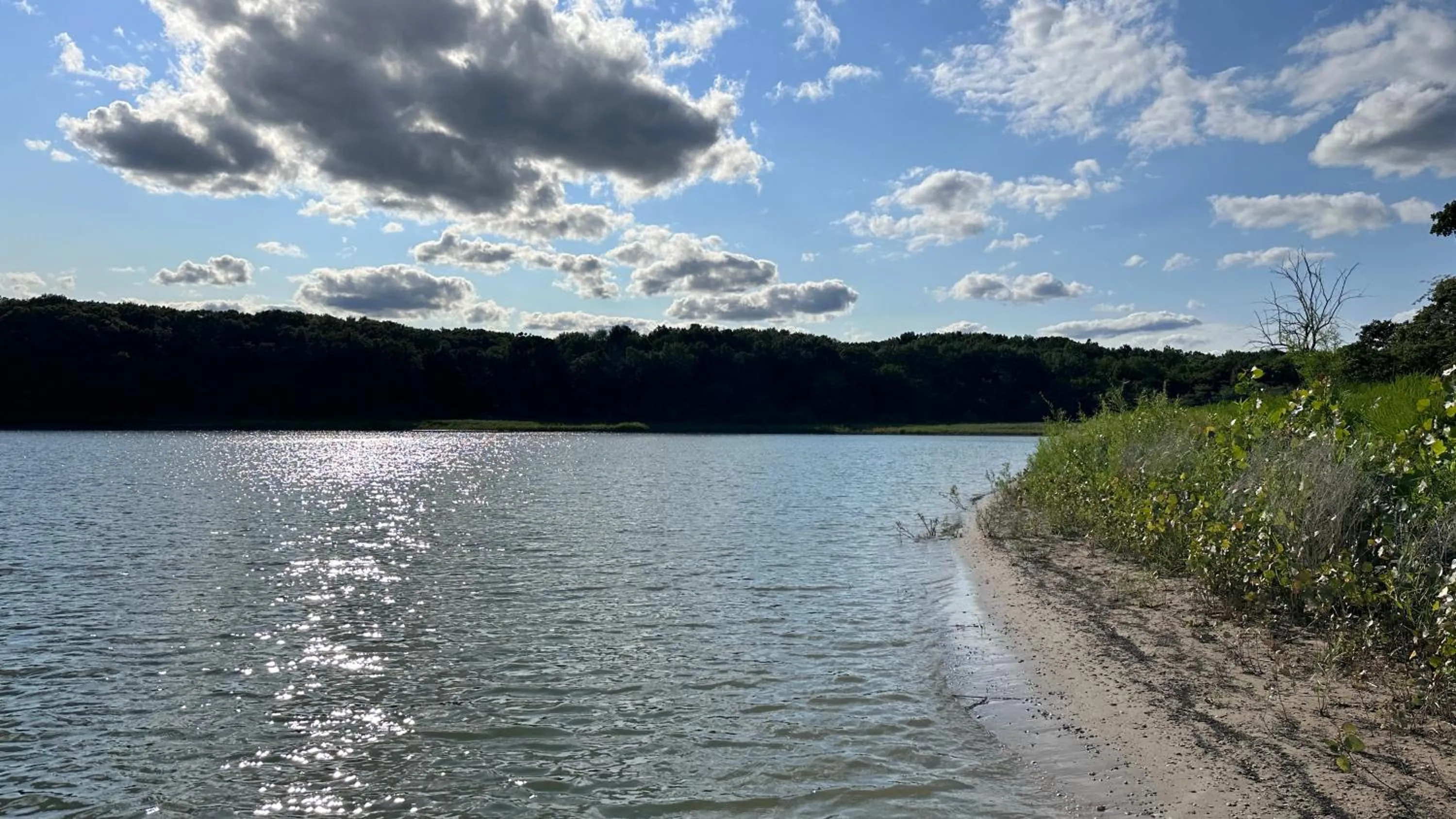 Activities in The Shelby Inn