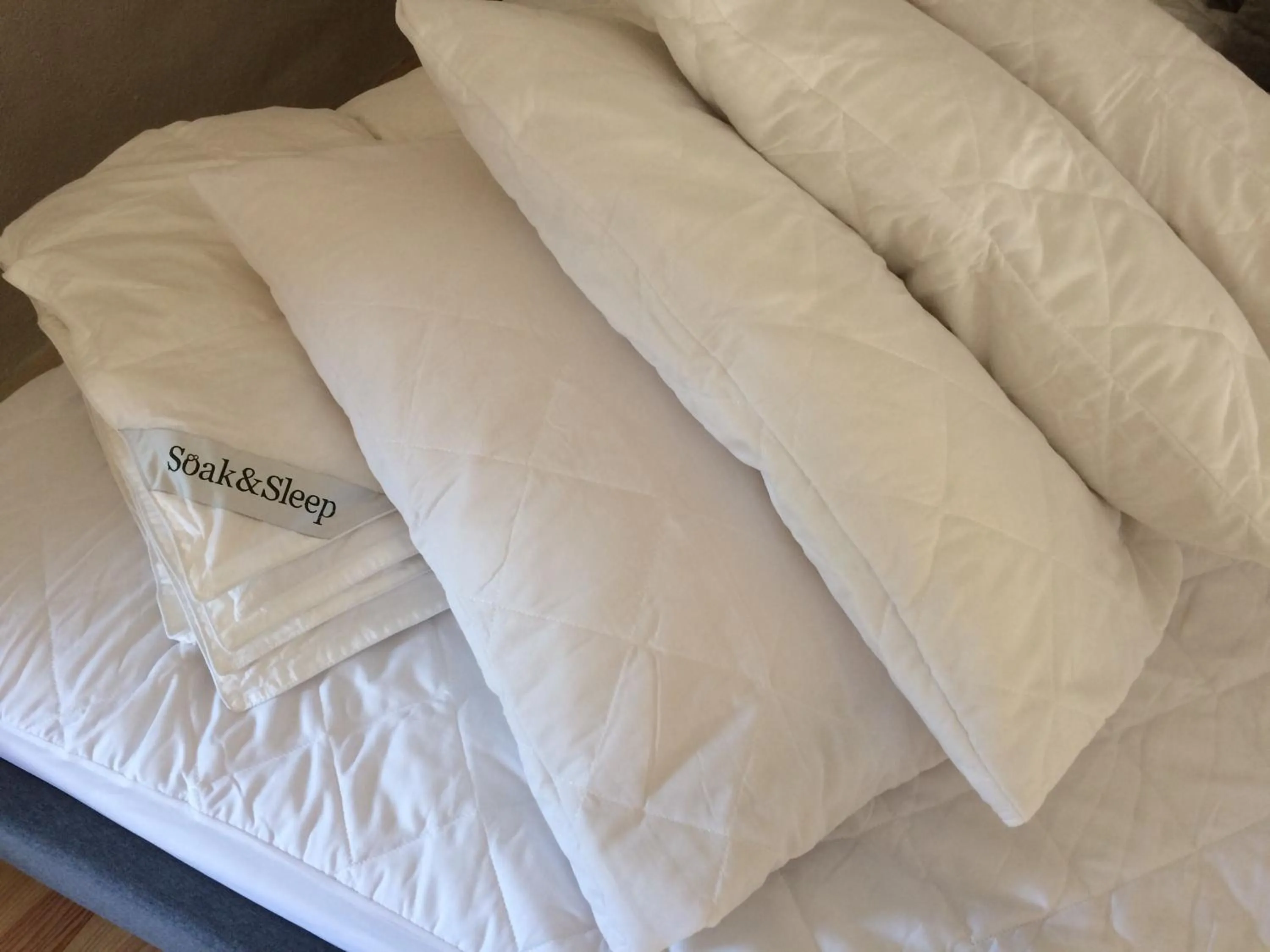 Bed in The Annexe Chadalais